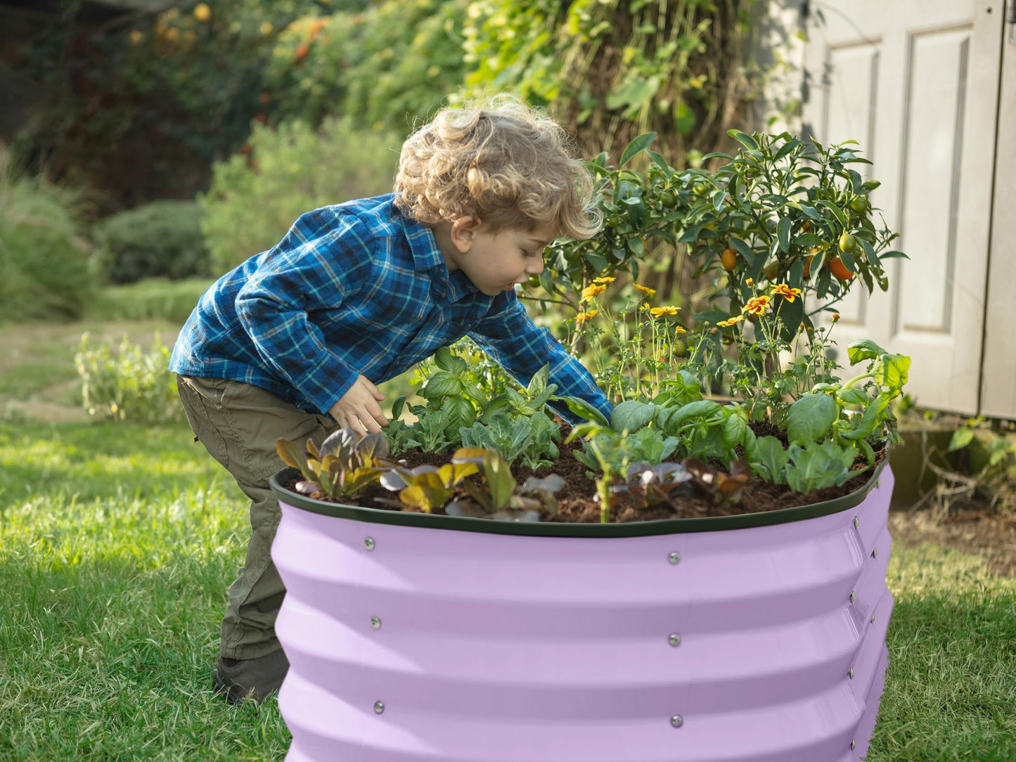 Plant & Plot Galvanized Raised Garden Beds Outdoor // 4×2×1 ft Planter Raised Beds for Gardening, Vegetables, Flowers // Large Metal Garden Box (Lavender)