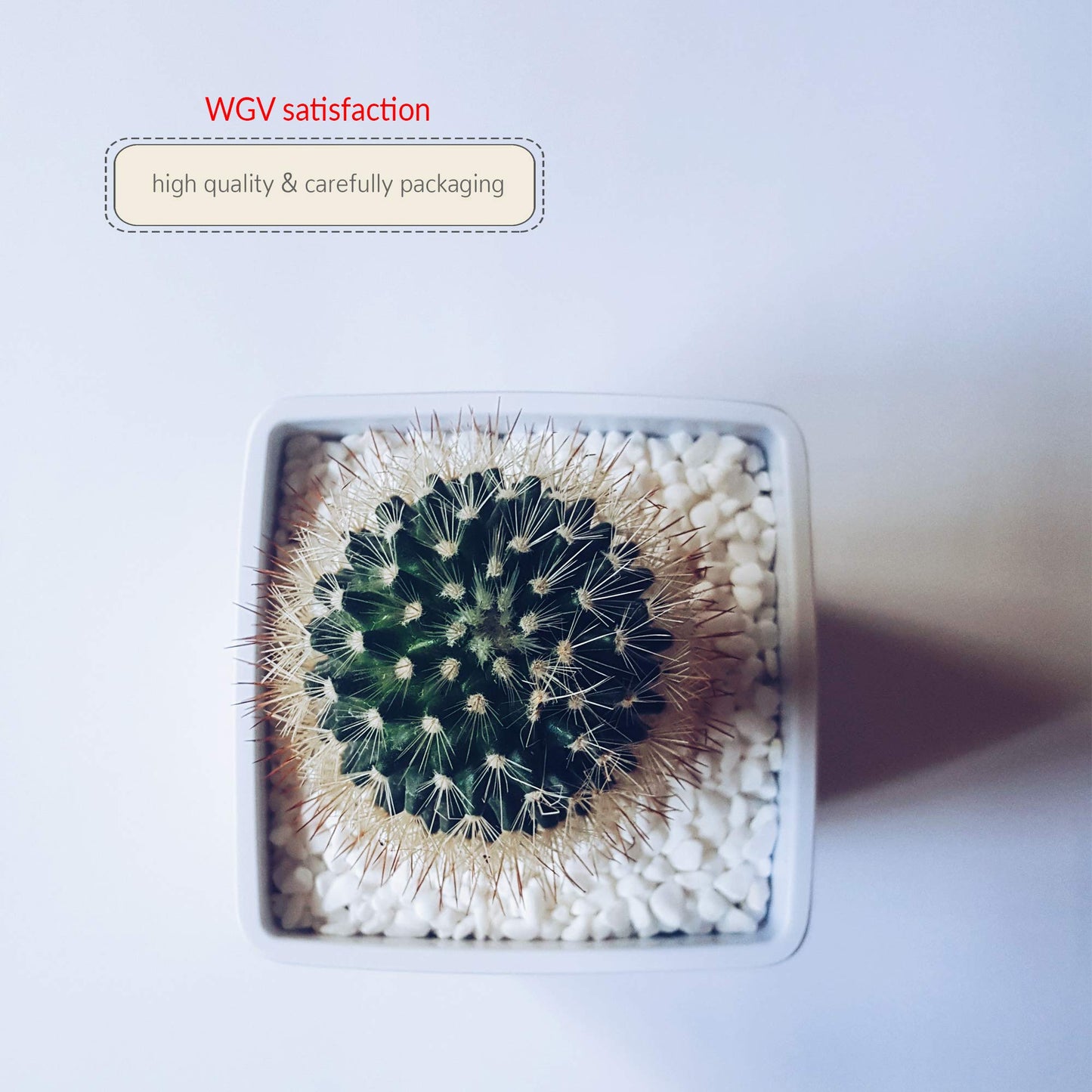 WGVI WGV Ceramic Cube Vase Width 3" Height 3" (Fits 2.5" Pot) Elegant Modern Small Square Floral Planter Terrarium Container Table Dresser for Event Accent Home Office Decor White 1 Piece