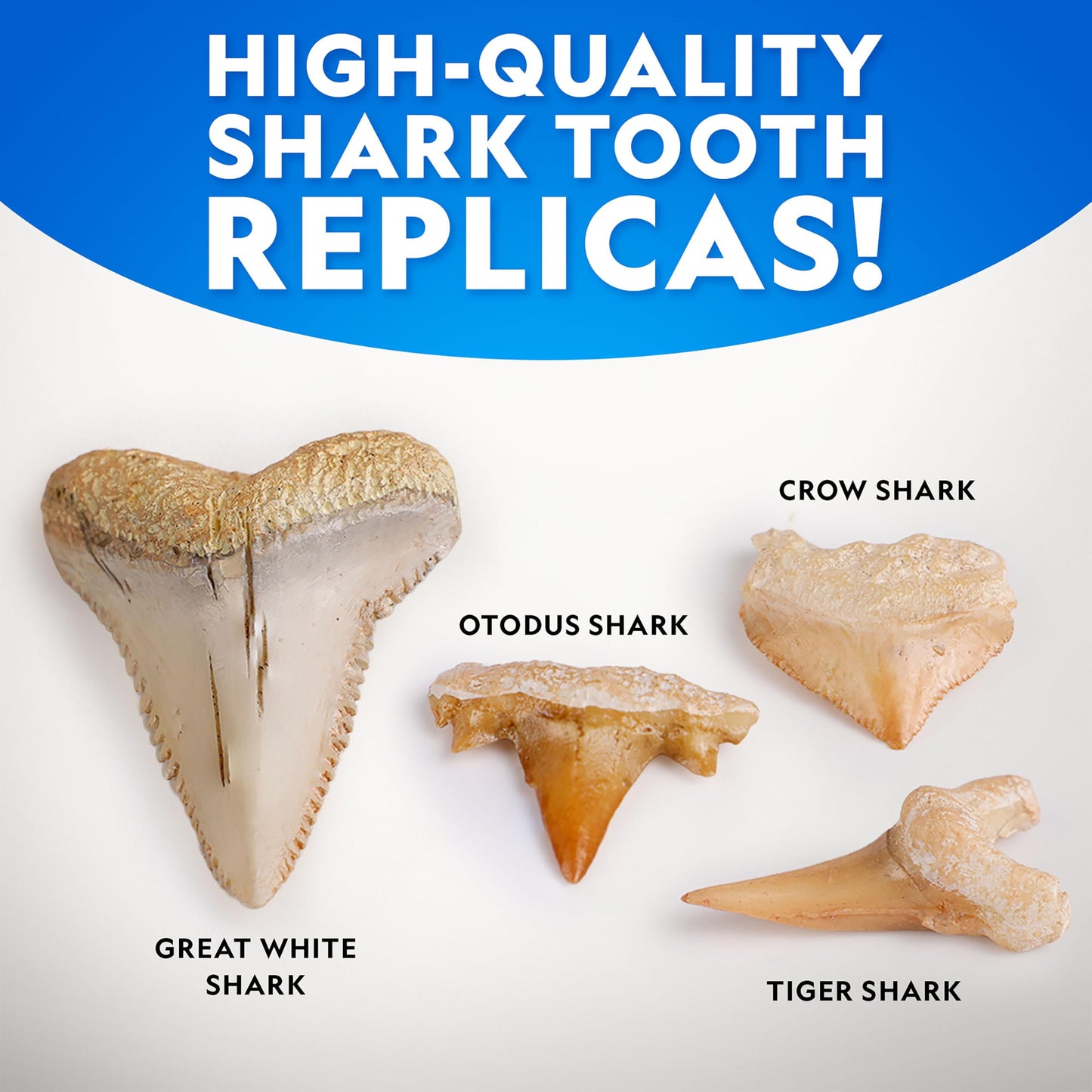 National Geographic Shark Tooth Dig Kit – Excavate Replica Teeth Fossils from Ancient Sharks and Make a Shark-Tooth Necklace, STEM Science Kit for Kids Ages 6-8, Educational Fossil Dig Activity