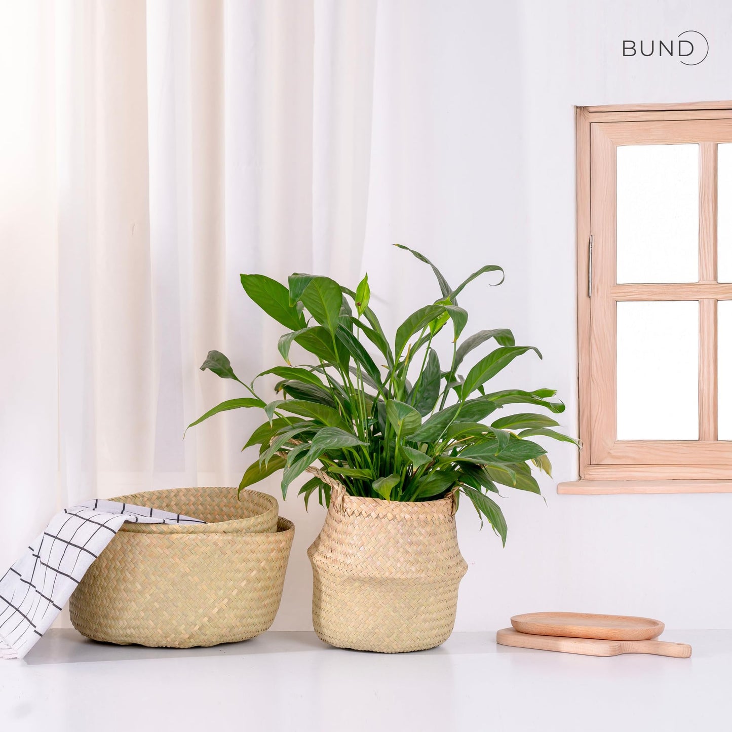 Woven Seagrass Belly Basket For Storage Plant Pot Baskets Laundry Picnic Grocery Baskets Woven Plant Pot Holder Home Decor For Storage Plants Wicker Laundry Basket (Large)