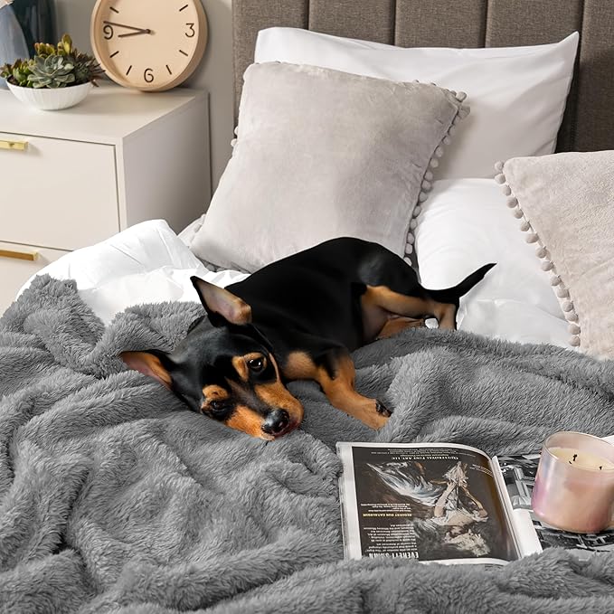 PAVILIA Sherpa Throw Blanket for Couch Sofa, Grey Fluffy Warm Plush Blanket for Bed, Cozy Super Soft Lightweight Throw, Fuzzy Decorative Blanket, All Season Home, 50x60