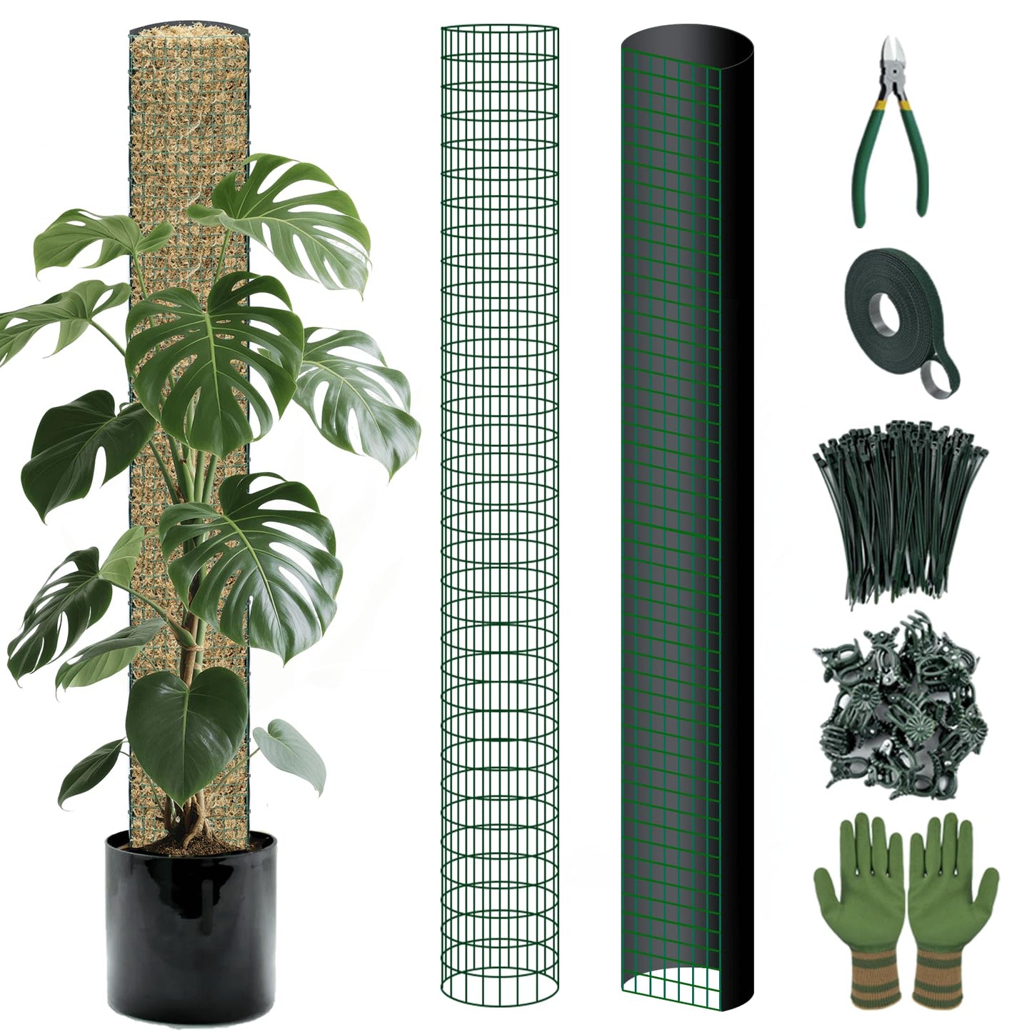 Metal Moss Poles for Climbing Plants, D-Shape Sphagnum Moss Pole Monstera Plant Support for Climbing Plants, DIY Plant Stakes Work with Sphagnum Moss (4ft D-Shaped & 6ft Round)