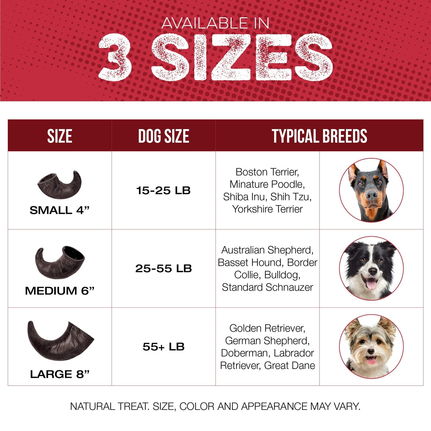 Fang and Claw Water Buffalo Horn Dog Chew 4 Pack (Medium 6 Inch), Long-Lasting Natural Chews for Aggressive Chewers, Single-Ingredient, No Rawhide