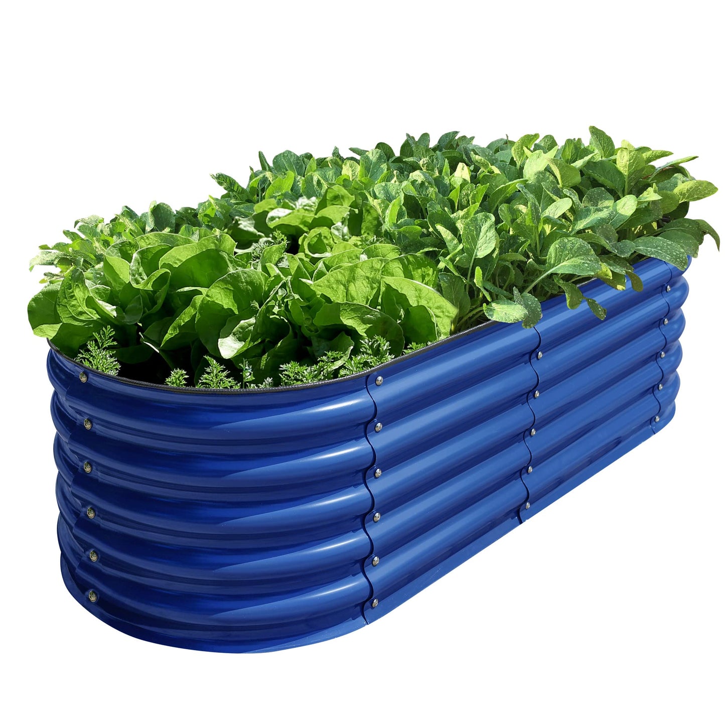 OLLE Galvanized Raised Garden Beds, 12-in-1 Metal Outdoor Plant Boxes for Vegetables, Cobalt Blue 17" Tall