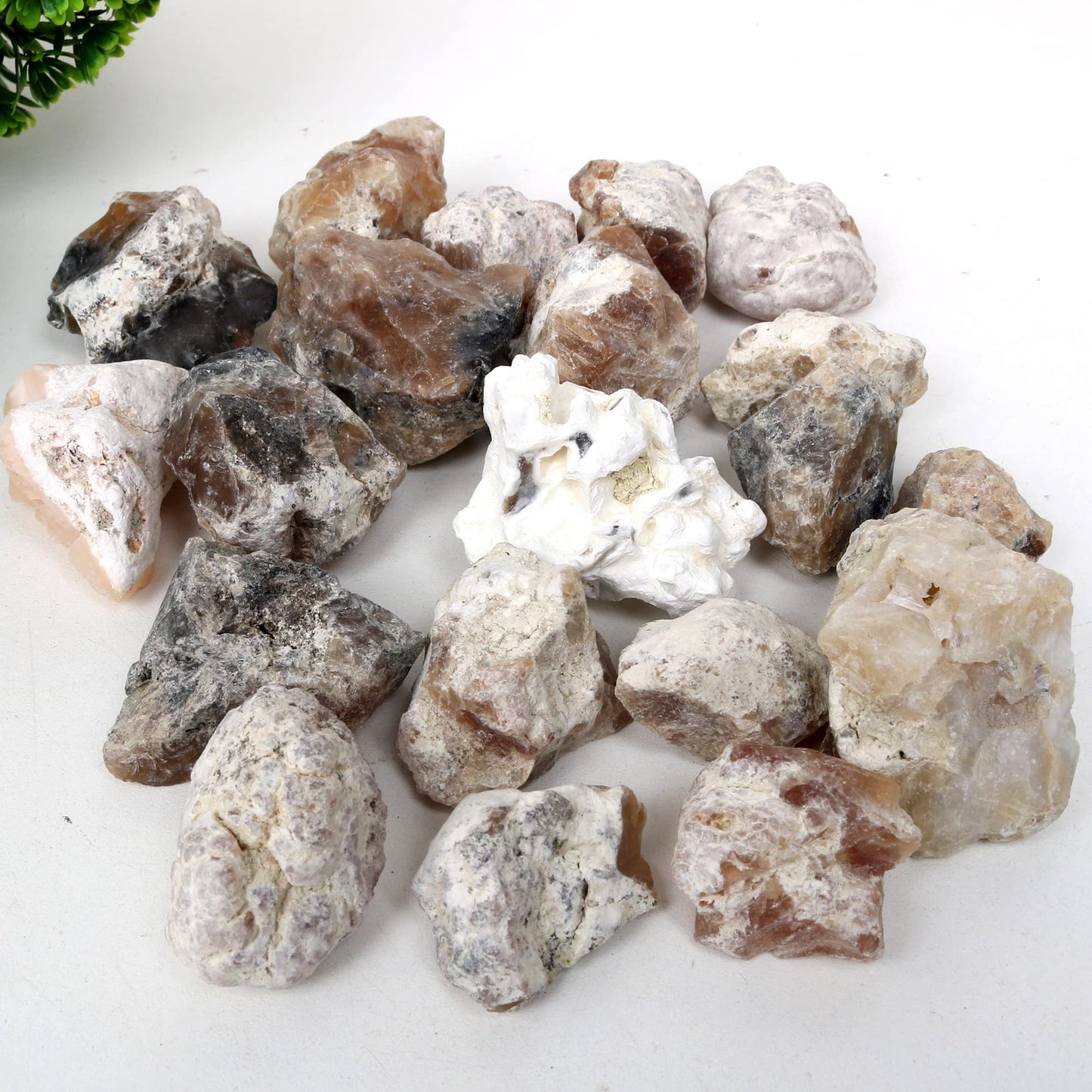 REAL-GEMS Natural Raw Healing Crystals Rough Stones for Tumbling, Cabbing, Polishing, Wire Wrapping, Wicca & Reiki Crystal Healing, Mix Gemstones,7 Chakra (Yellow Opal)