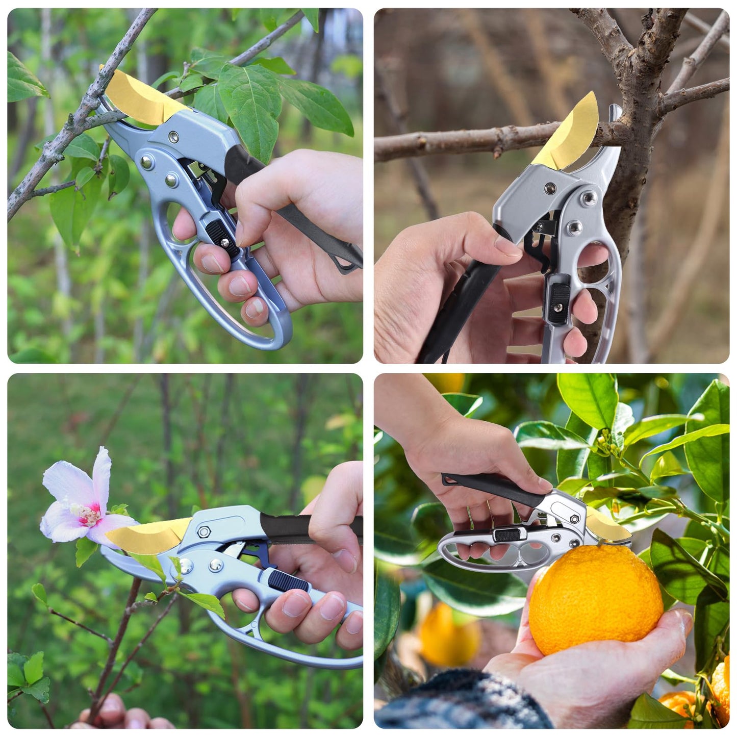 MEPEREZ Garden Clippers, Premium Germany Titanium Pruners, Work 3 Times Easier, Ratcheting Pruning Shears, Cutting Rose, Flower, Hedge, Stem, Tree, Sharp Gardening Scissors, Arthritis Weak Hand Snips