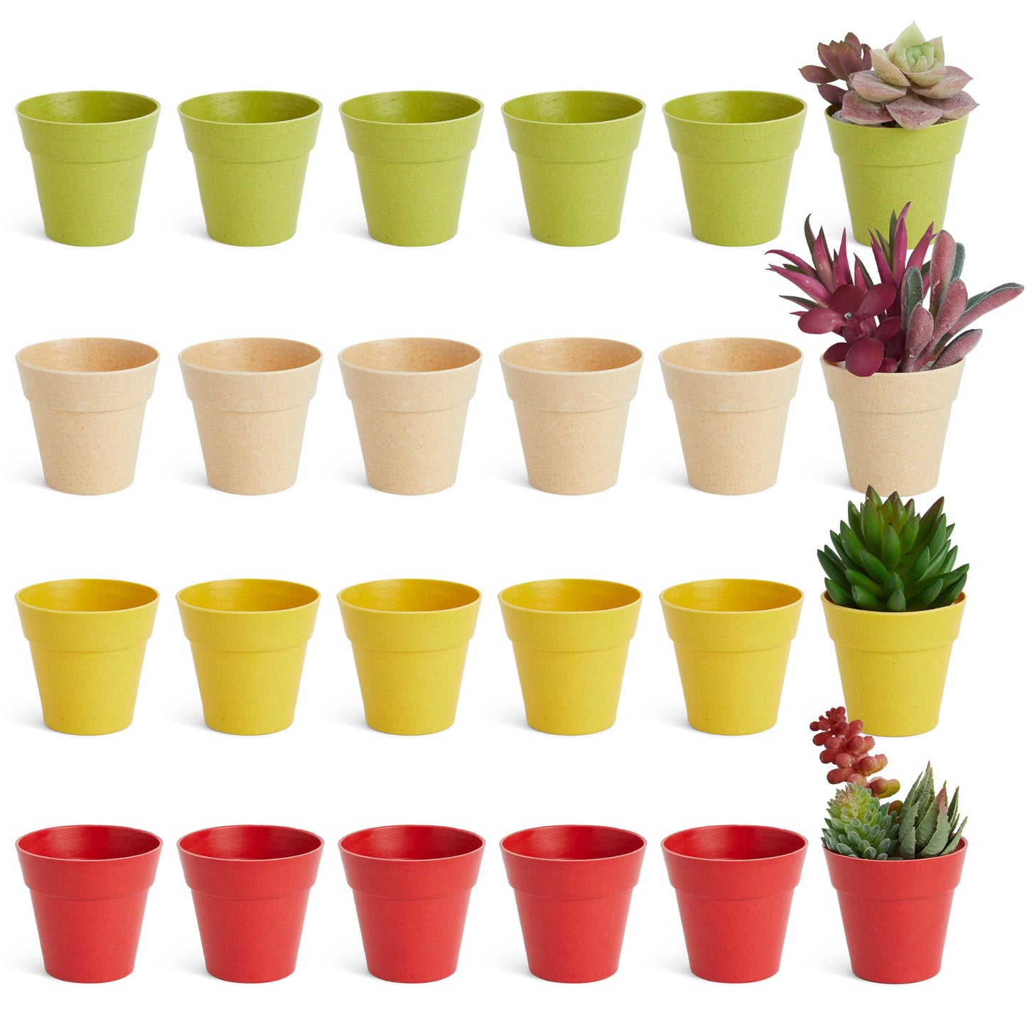 Juvale Mini Plastic Plant Pots - Drainage Hole for Flower Pots - Sturdy Planter for Indoor Plants - Pack of 24, 2.5 x 2.3 in, Multicolor