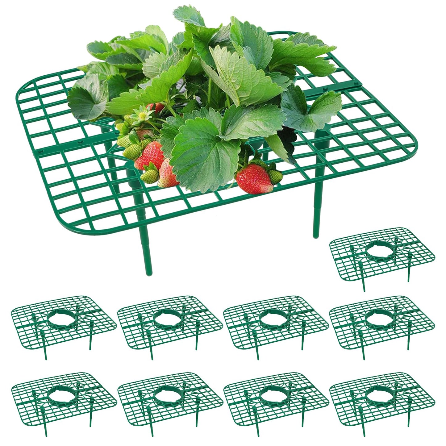 GOONMILL 10 Pack Strawberry Plant Support, Strawberry Planting Stand, Keeping Strawberry Plants Clean, Strawberry Growing Racks, Strawberry Growing Frame