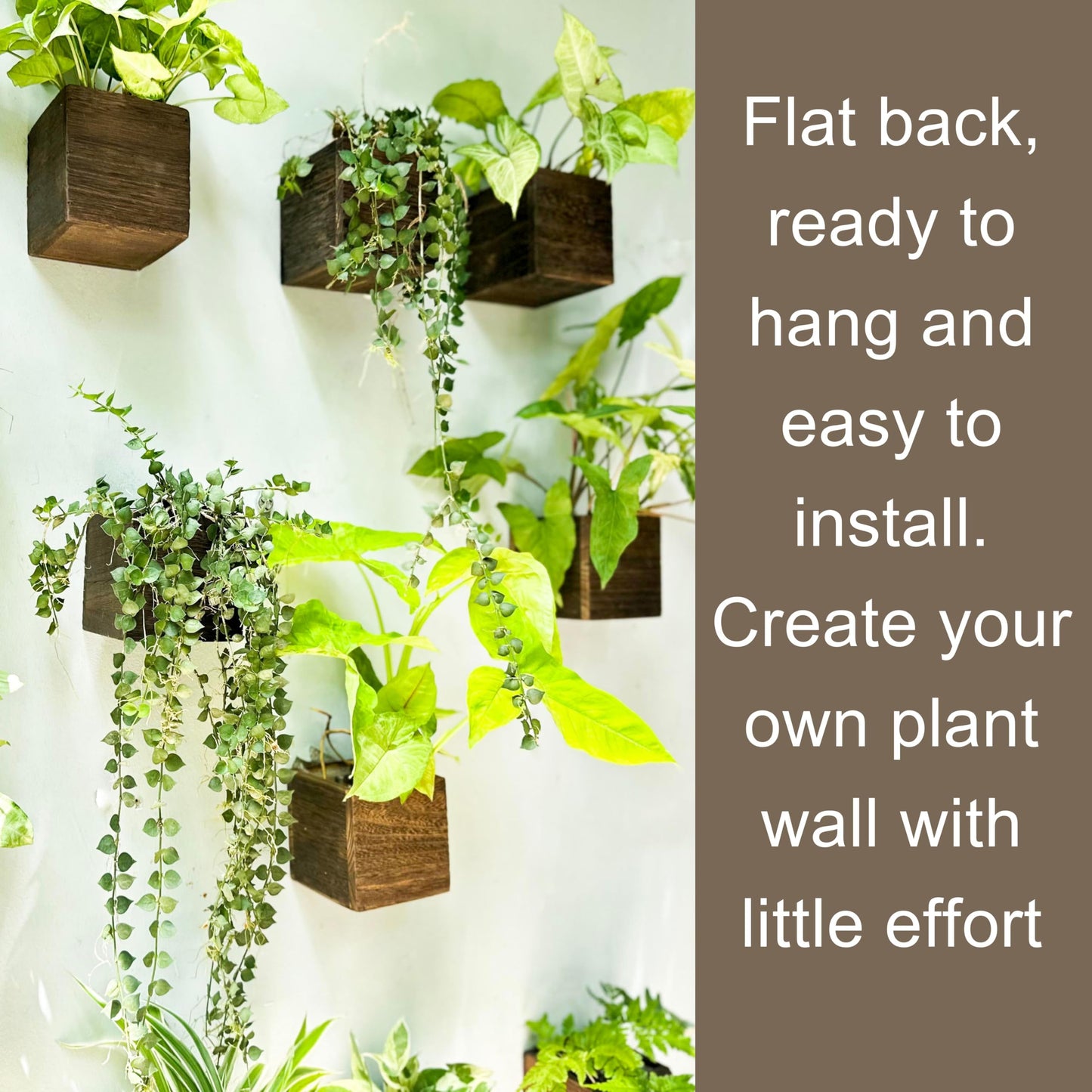LaLaGreen Wood Planter Boxes (4x4 Inch, 4 Pack) Small Square Wooden Wall Mounted Flower Pot for Indoor Plants, Window Box Mount Hanging Herb Planters Outdoor Plant Holder Vertical Garden Home Decor