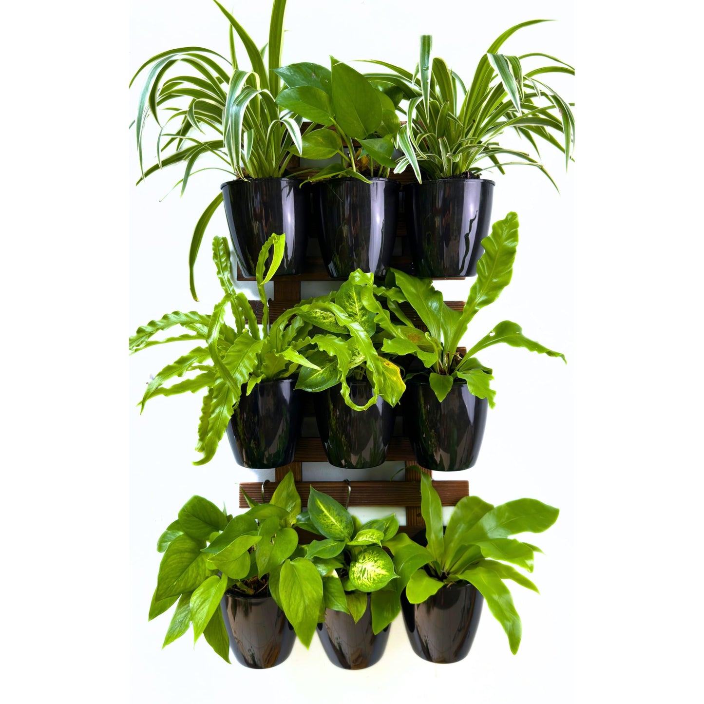 LaLaGreen Wall Planters for Indoor Plants - 10 Pack, 5 Inch Black Self Watering Wall Planter, Eco Wall Mounted Planters System Living Hanging Wall Pots Holder Trendy Live Wall Garden Indoor for Herb