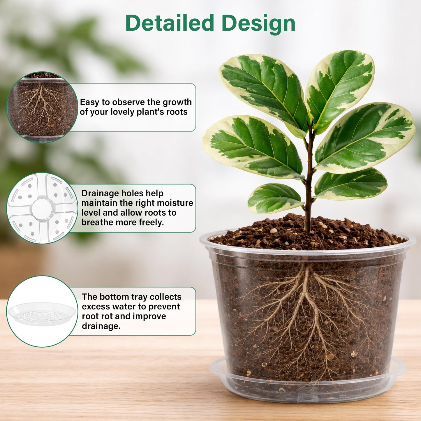 Bluepro 12 Pack 10/8/6/5 Inch Reinforced Large Clear Nursery Pots with Saucers, Transparent Variety Pack Plastic Plant Pot with Drainage Holes for Vegetable Propagation, Root Cutting, Seed Starting