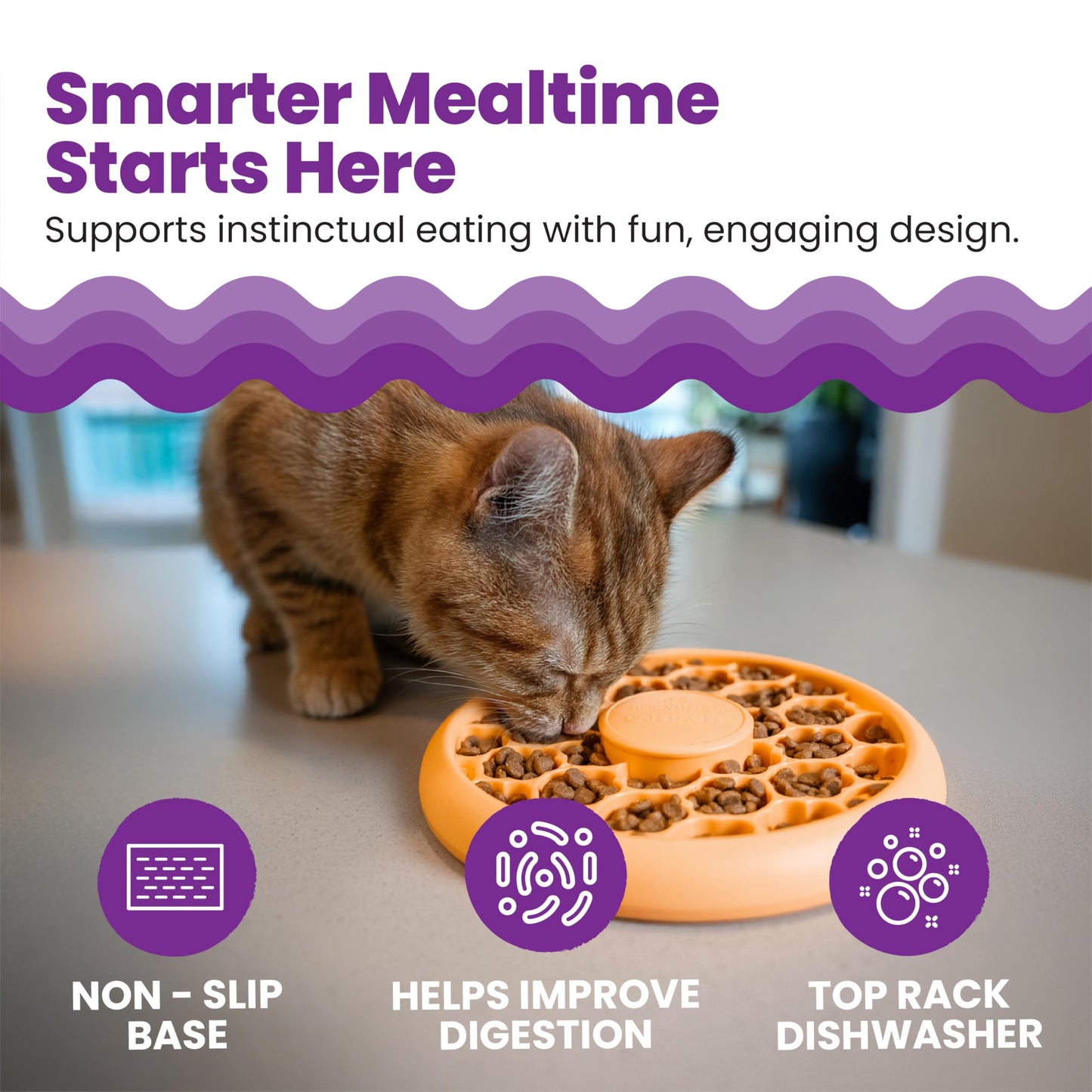 Catstages New Kitten Bundle – Slow Feeder Bowl, Purr Pillow, Strawbabies Catnip Toys, Kitty Cube Puzzle Toy & Whitefish Purrfect Bitez Treats
