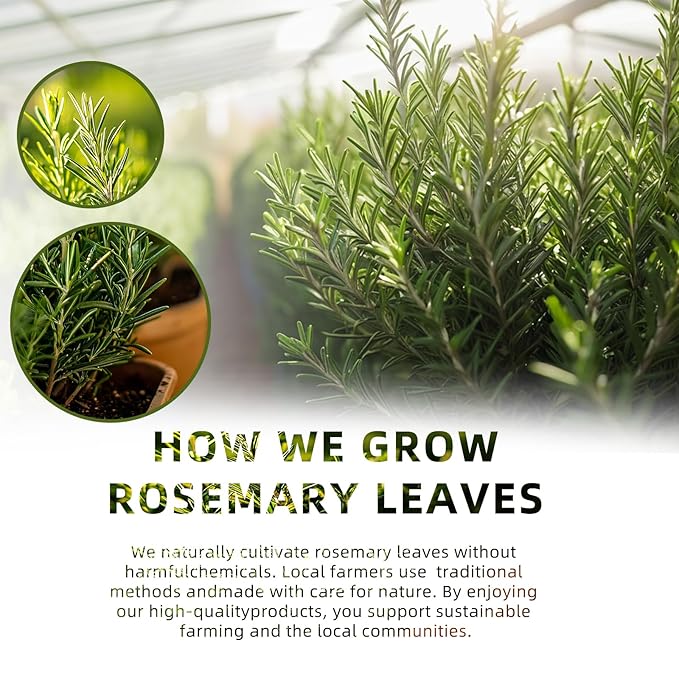luoptea Rosemary &lemon Tea Bags| 100% Natural,Caffeine-Free，with Sun-Dried Lemon Peel &RosemaryLeaves,No-GMO,For Relaxing Moments&Everyday Refreshment.No suger,No caffenine,No Gluten,Vegan. (30 tea bags)