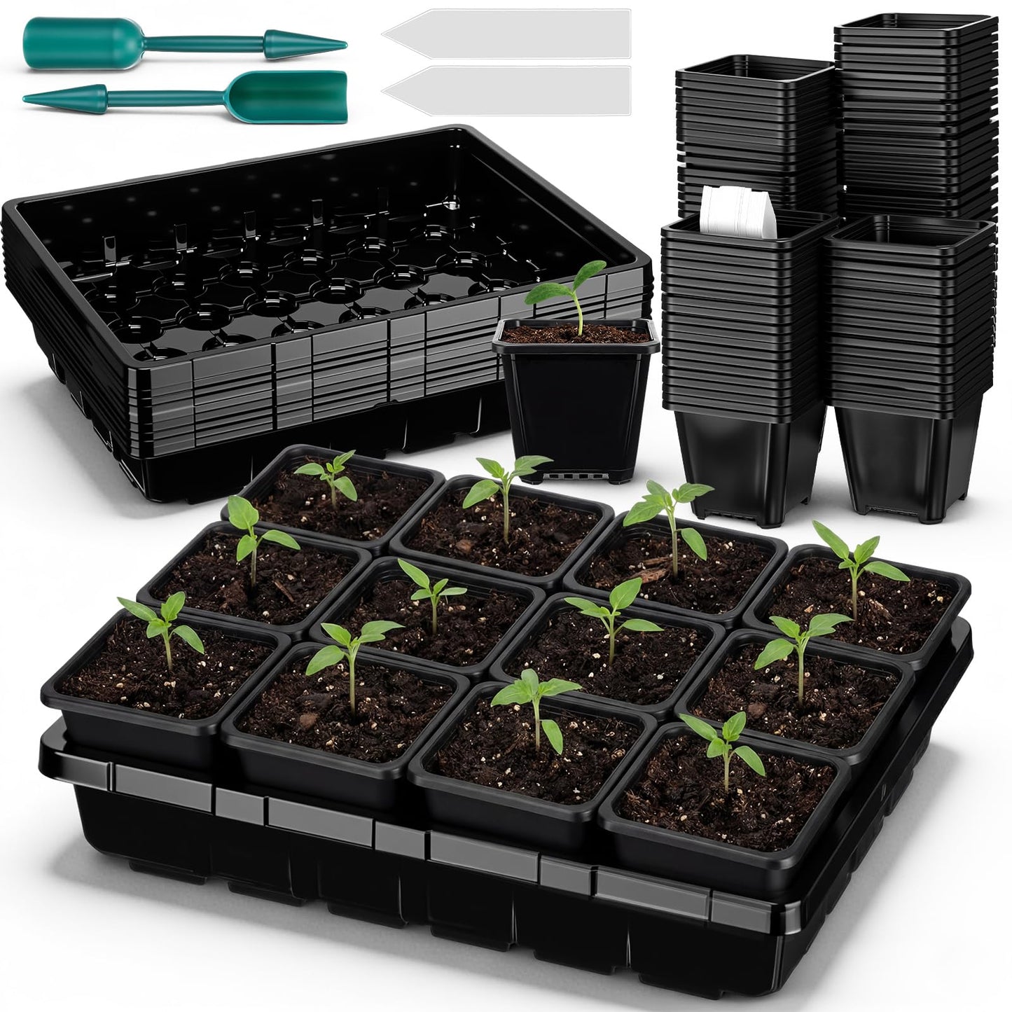 Nuenen Seed Starter Tray 6 Pcs, 3.5 Inch Square Nursery Pots 72 Pcs, Seed Starting Pot with Drainage, Seedling Trays, Microgreenings Plant Propagation Germination Tray, 6 Set