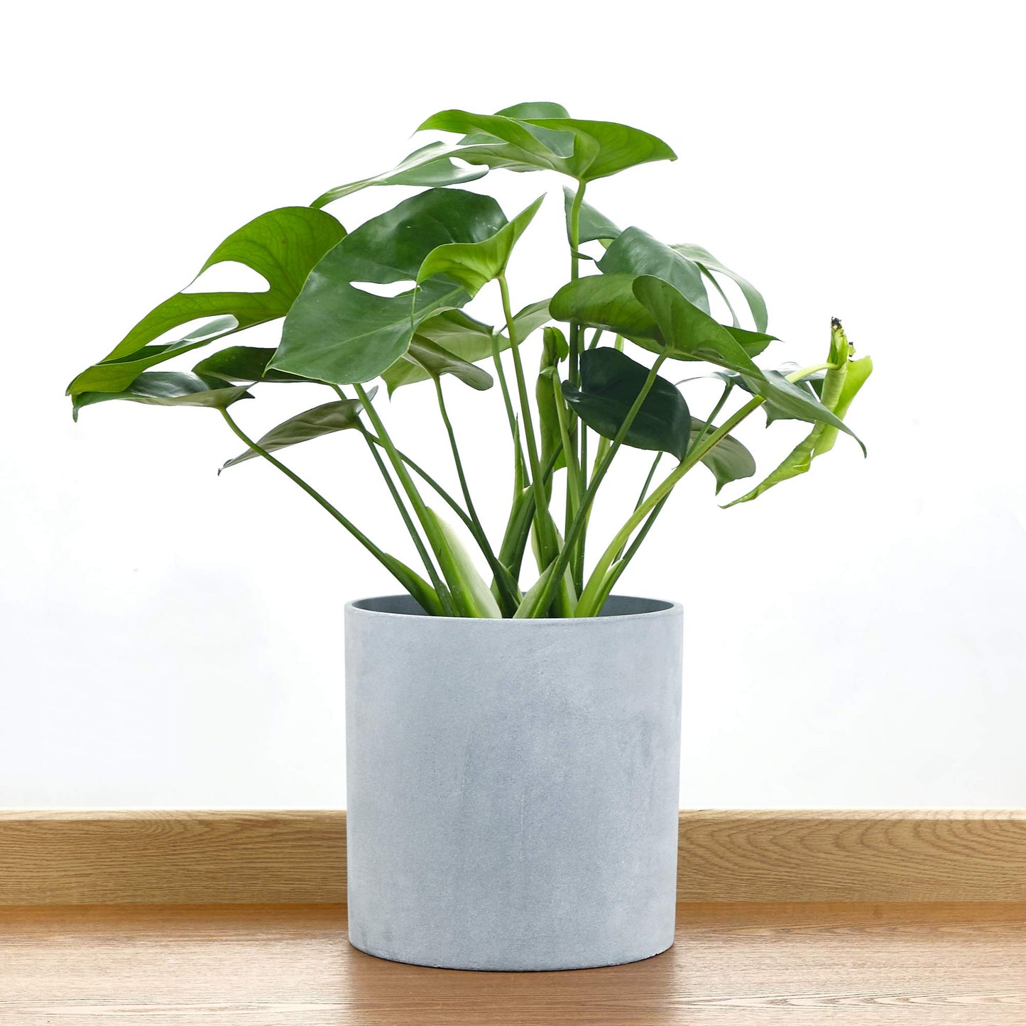 FaithLand 10 Inch Fiberstone Planter - Lightweight Modern Cylinder Plant Pot with Drainage Hole & Plug, Authentic Concrete Look, Gray