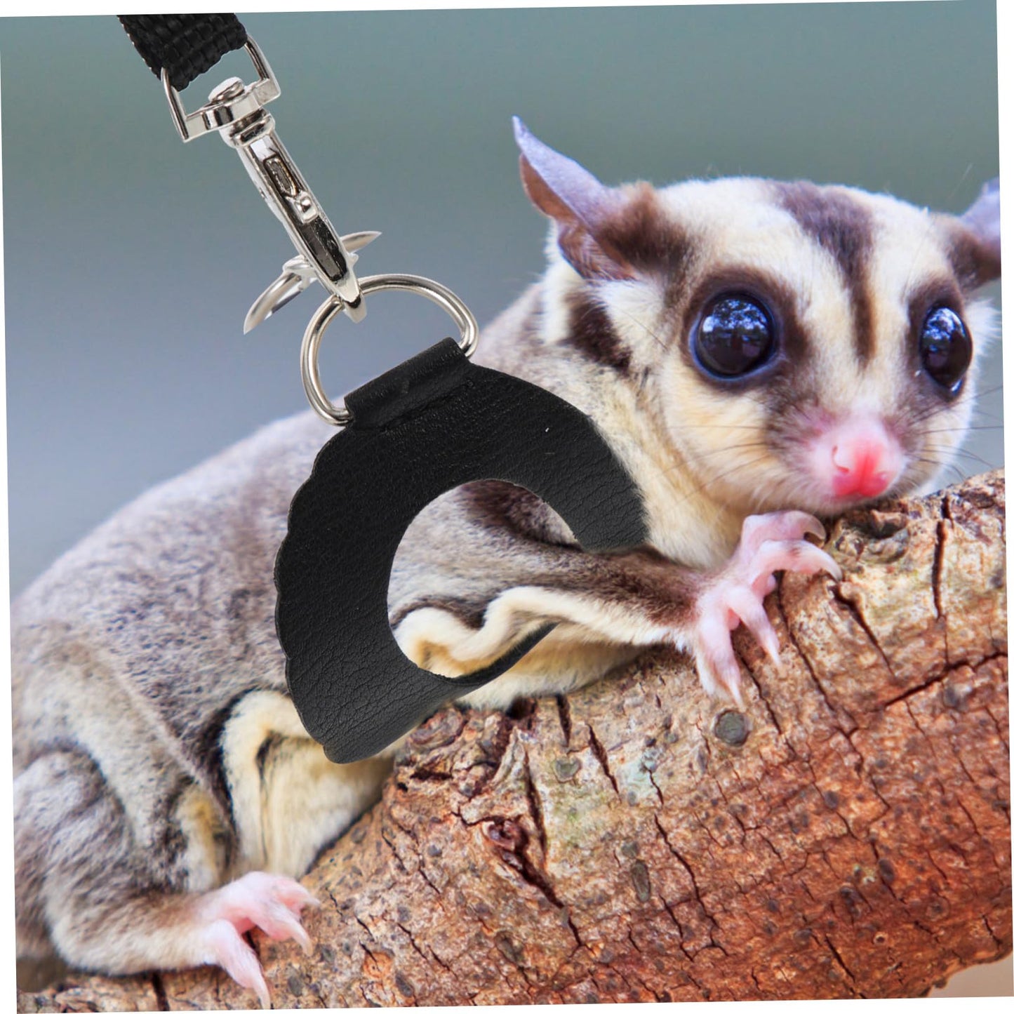 SHINEOFI 2 Sets Household Hamster Harness Leashes Lightweight Breathable Small Pet Rat Leash Kit Comfortable for Outdoor Walking and Daily Use