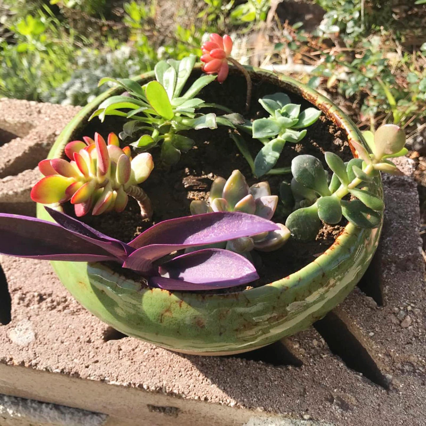 Succulent Pots, 1 Rectangle Planter + 1 Ceramic Bonsai Pot with Drain Tray, 2 Pack Large Shallow Succulent Planters for Indoor Plants, Round Cactus Flower Plant Pot for Desk Windowsill Decor