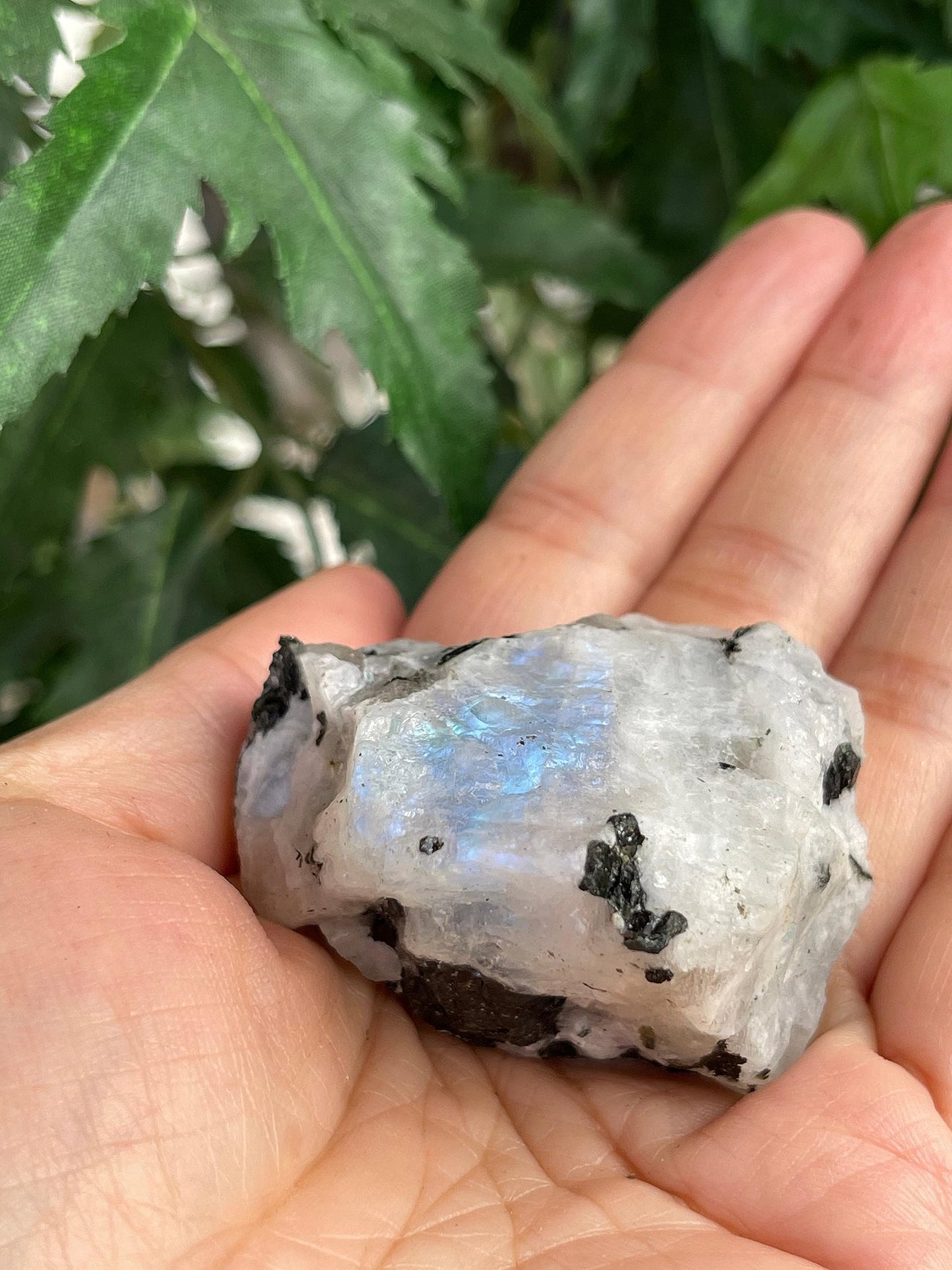 GAF TREASURES Wholesale Raw Rainbow Moonstone Crystals, Natural Rainbow Moonstone Stone, Rainbow Moonstone Rough, Rainbow Moonstone Healing Crystals (Rainbow Moonstone, 0.5 Pound)