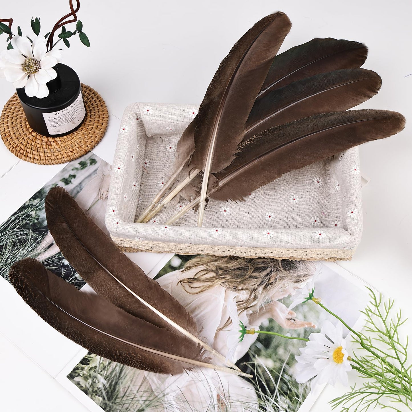 MehelloFeather Peacock Wing 11-14 Inch Natural Feather 6 Pcs Crafts for DIY Home Decoration Wedding Centerpieces Party Supplies