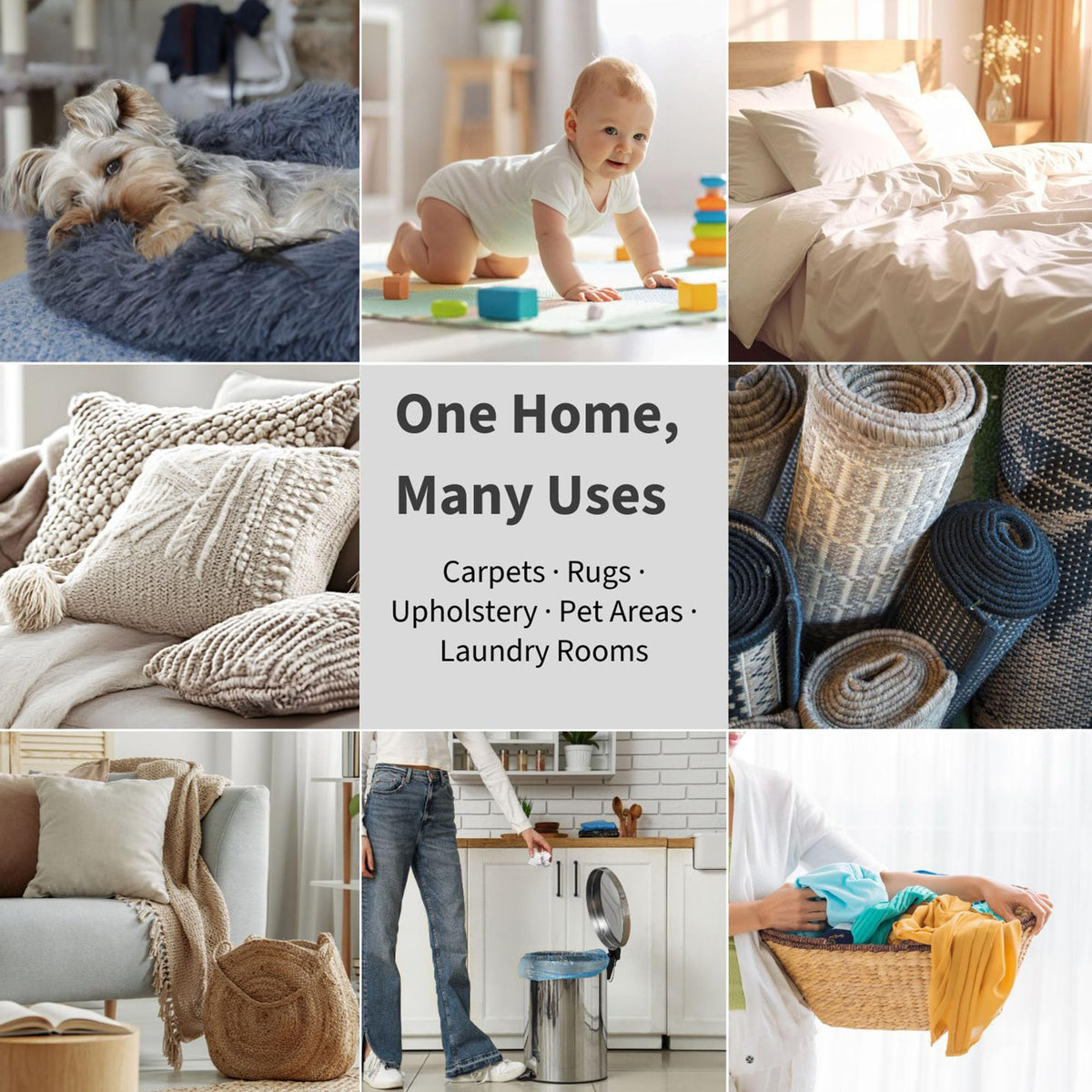 Black Sea Carpet Deodorizer Powder (16 Ounce)