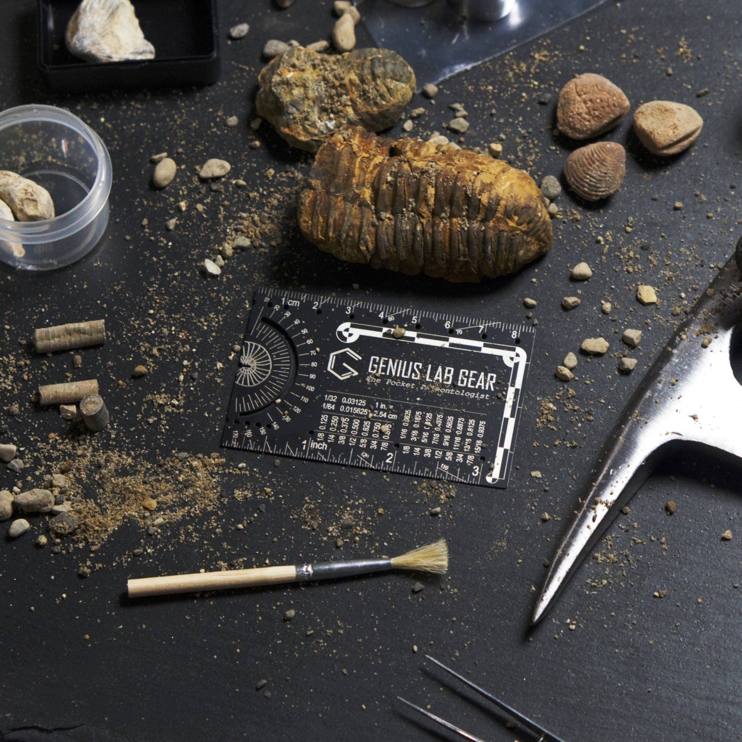 The Pocket Paleontologist - Small Metal Paleontology Ruler Scale, Mini Fossil Dig Multitool Gadget, Cool Tech Geek/Nerdy Archaeology Graduation Gift, Unique 3 Inch Metric Techie Tool - Genius Lab Gear