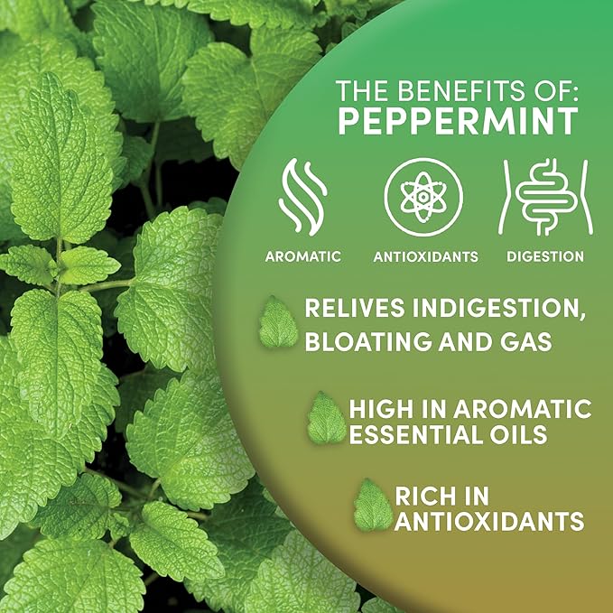 Worldwide Botanicals Organic Peppermint Loose Leaf Tea, 4 oz - Pacific Northwest Organic Cultivation, Highly Aromatic Digestive Tea, Antioxidant, Caffeine Free
