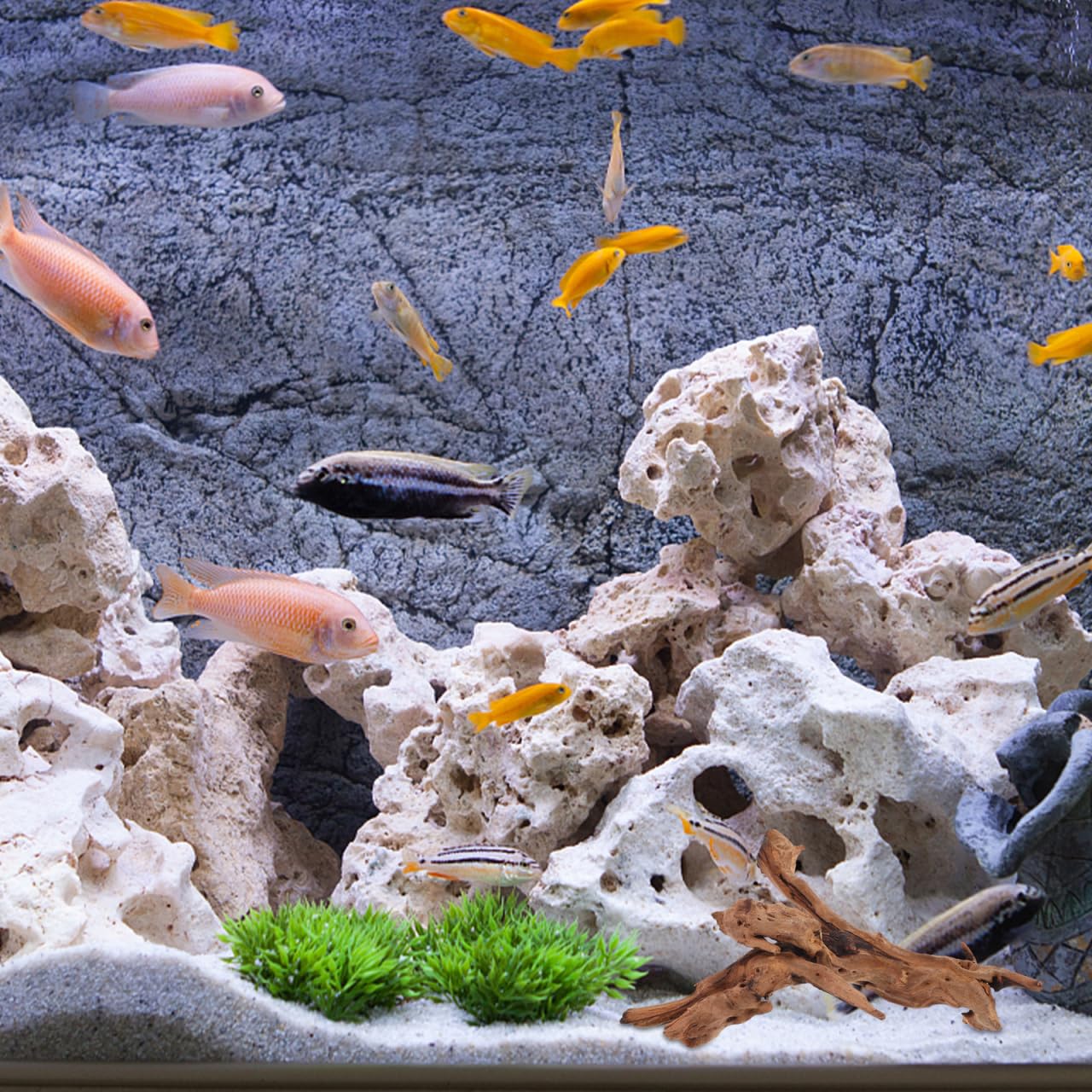 POPETPOP Natural Driftwood for Aquarium Decor - 9.8×5.9" Unique Wood Branch Fish Tank Decorations & Reptile Tank Accessories, Drift Wood Log for Leopard Gecko Terrarium Accessories