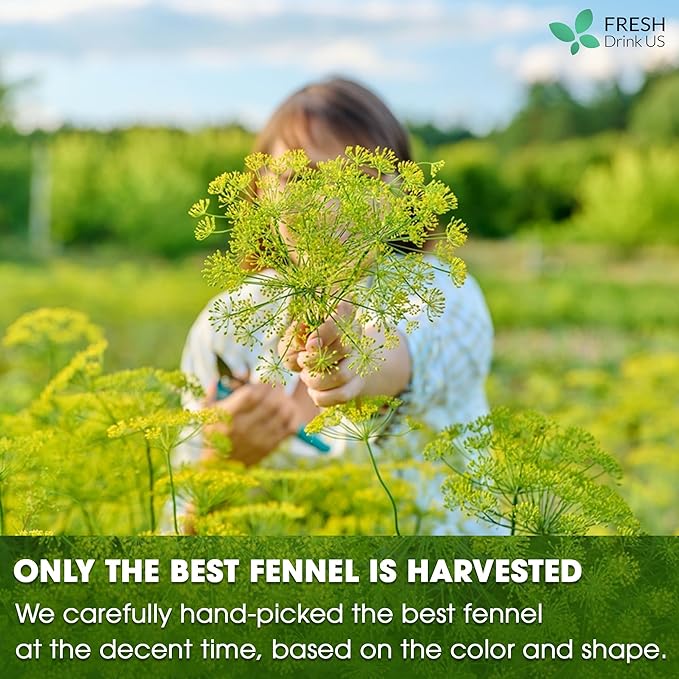 FreshDrinkUS, Premium 200 Fennel Tea Bags, 100% Natural & Pure from Fennel Seeds. Made with Natural Material Tea Bags. No Sugar, No Caffeine, No Gluten, Vegan.