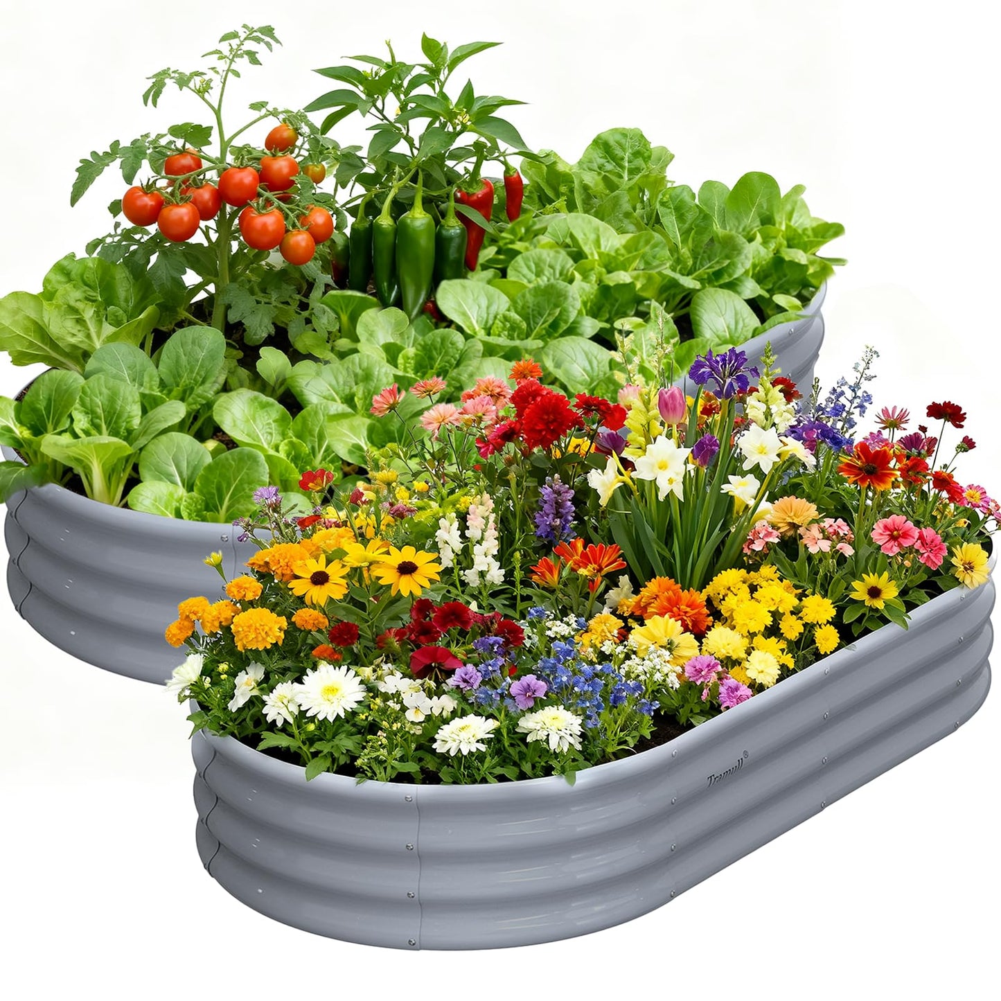 2 Pack 6x3x1ft Raised Garden Bed, 12" Tall Galvanized Metal Raised Beds for Gardening, Rust Resistant Elevated Garden Bed, Planters Box Kit for Outdoor Plants Vegetables Flowers Herbs Tomatoes, Grey