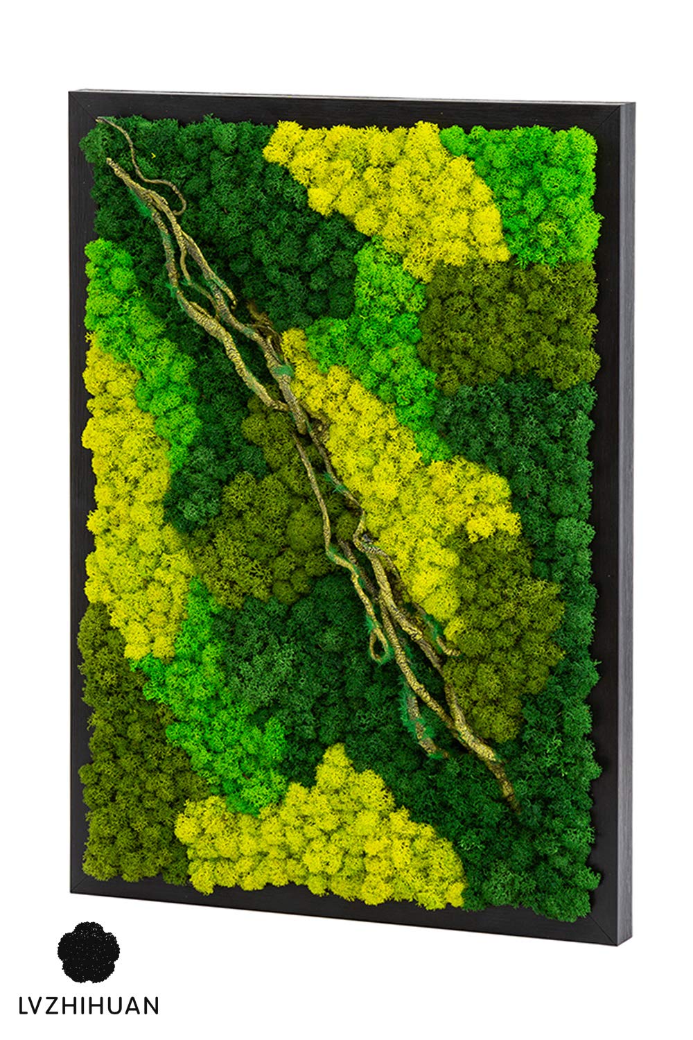 LVZHIHUAN Moss Wall decor Real Preserved Moss No Maintenance Required Eco Natural Green Wall Art Moss Frame Living Plants Vertical Garden 19.7 x13.8inch,Black Frame