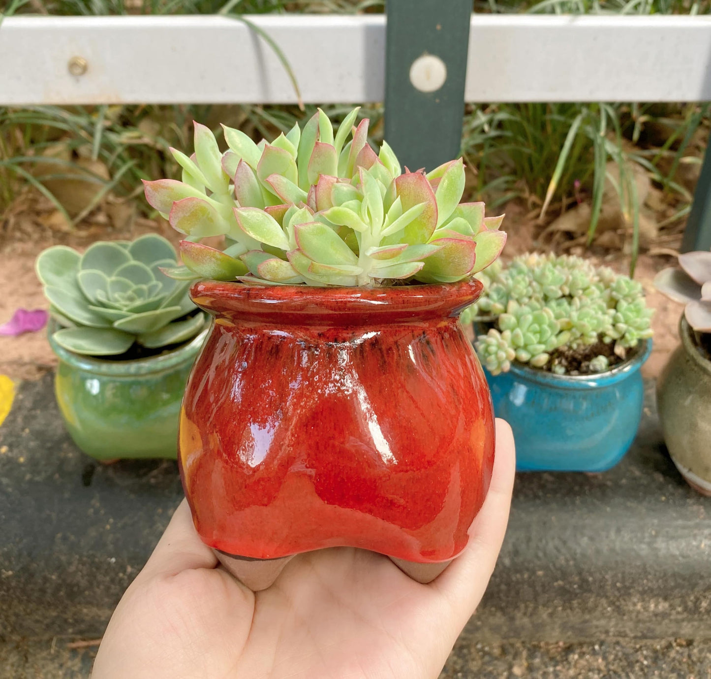 Casktcom 4PCS Handcraft Glazed Succulent Planters，Small Ceramic Succulent Pots with Drainage，Small Pots for Succulents - Mix Color Set