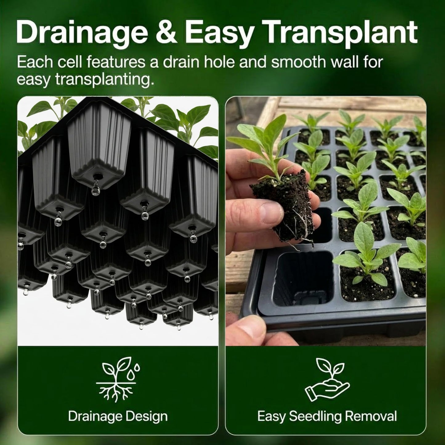 Gardzen 5-Set Seed Starter Tray Kits, Durable Plant Germination Trays with Humidity Vented Domes and Bases, Ideal for Seed Starting, Indoor Gardening, and Greenhouse (Total 200 Cells)