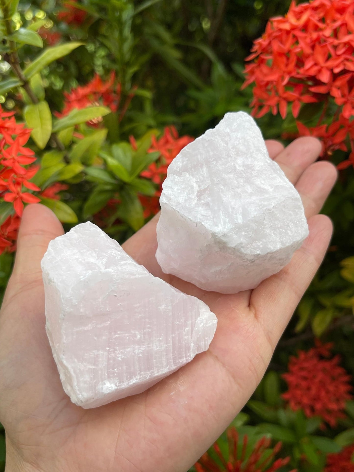 GAF TREASURES XL Pink Calcite Raw Stone, 3-4" Natural Calcite Healing Crystal (Pink Calcite, 0.5-1 lb)
