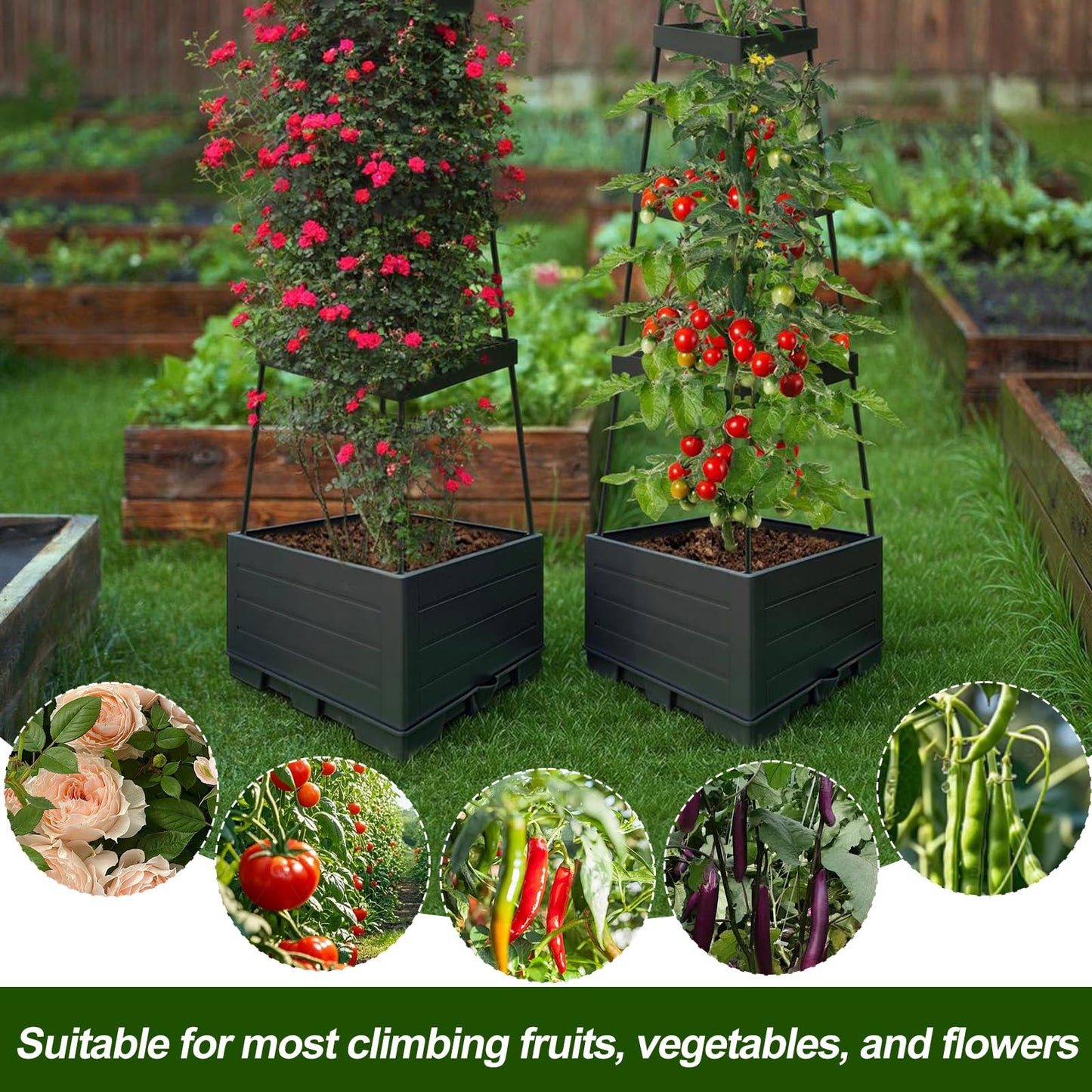 2Pack Raised Garden Bed Tomato Planter Box with Trellis Outdoor Tomato Cage Trellis for Garden Climbing Plants Outdoor Indoor 57" Self Watering Raised Beds for Gardening Tomatoes Vegetable Growing