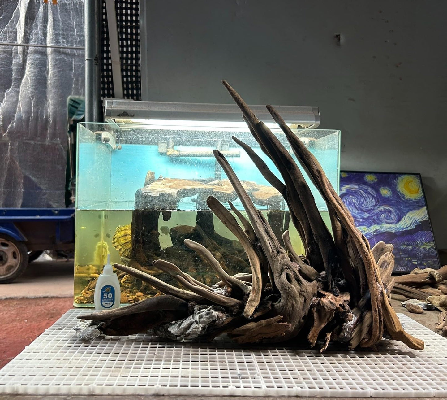 AWXZOM Aquarium Driftwood Branches,2.2lb 9-14inch Long Driftwood for Aquarium Reptile Driftwood Branches Log Natural Driftwood for Aquarium Reptile Branches
