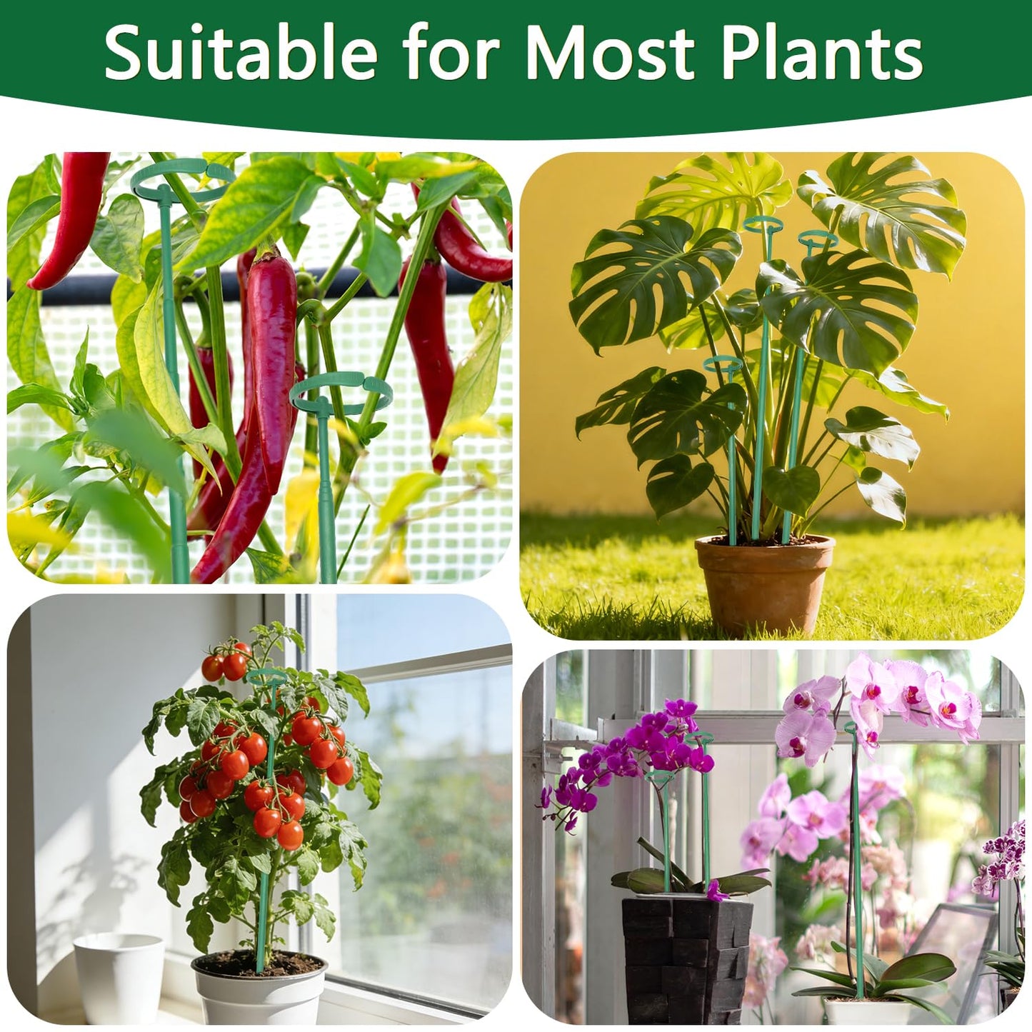 Telescoping Monstera Plant Support Stakes, 12.5IN to 48.4IN Adjustable Length, Extendable Plant Stakes for Indoor Plants, Premium Stainless Steel Material Plants Sticks for Orchids, Tomatoes- 5Pack