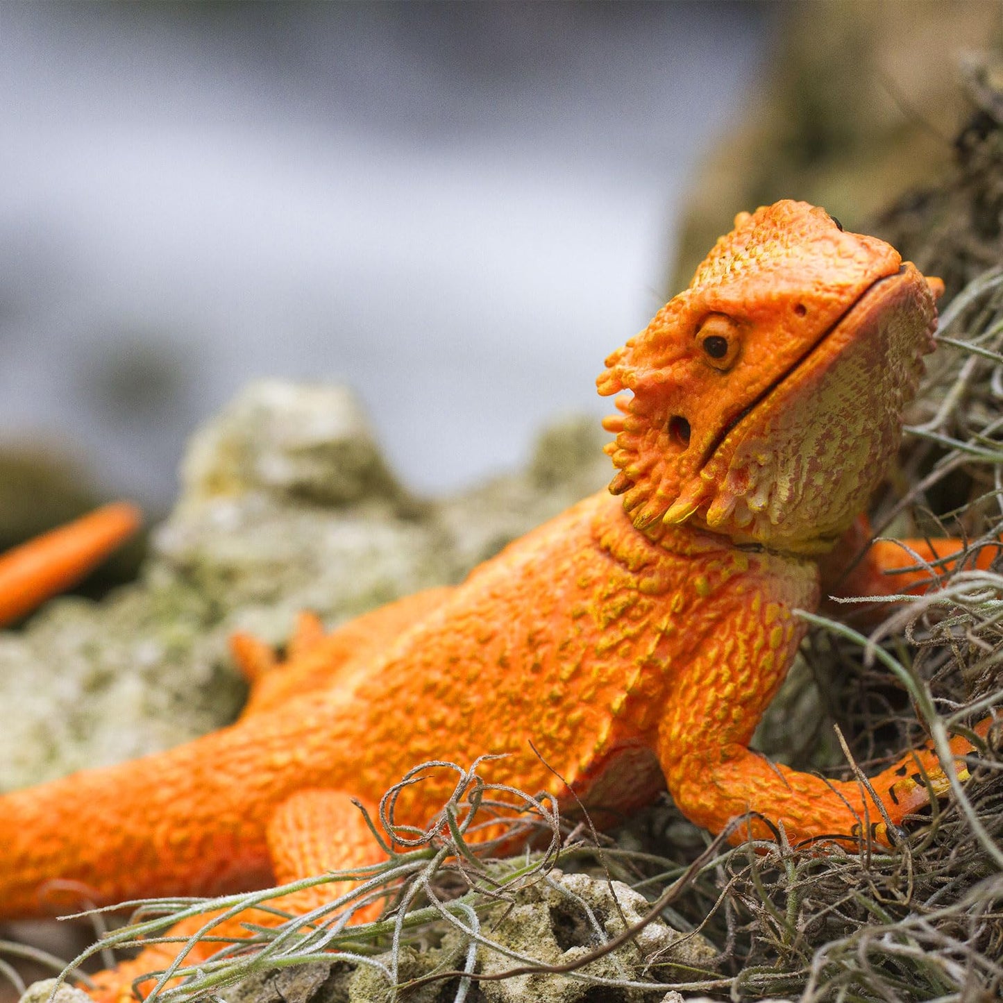 Safari Ltd. Bearded Dragon Figurine - Detailed 8.5" Plastic Model Figure - Fun Educational Play Toy for Boys, Girls & Kids Ages 18M+