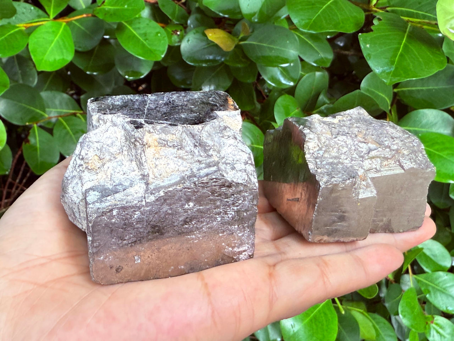 GAF TREASURES XL Raw Pyrite Cube, 3-4" Natural Rough Pyrite Cube, Pyrite Cube Rough, Pyrite Cube Healing Rough Crystal (Pyrite Cube, 0.5-1 lb)