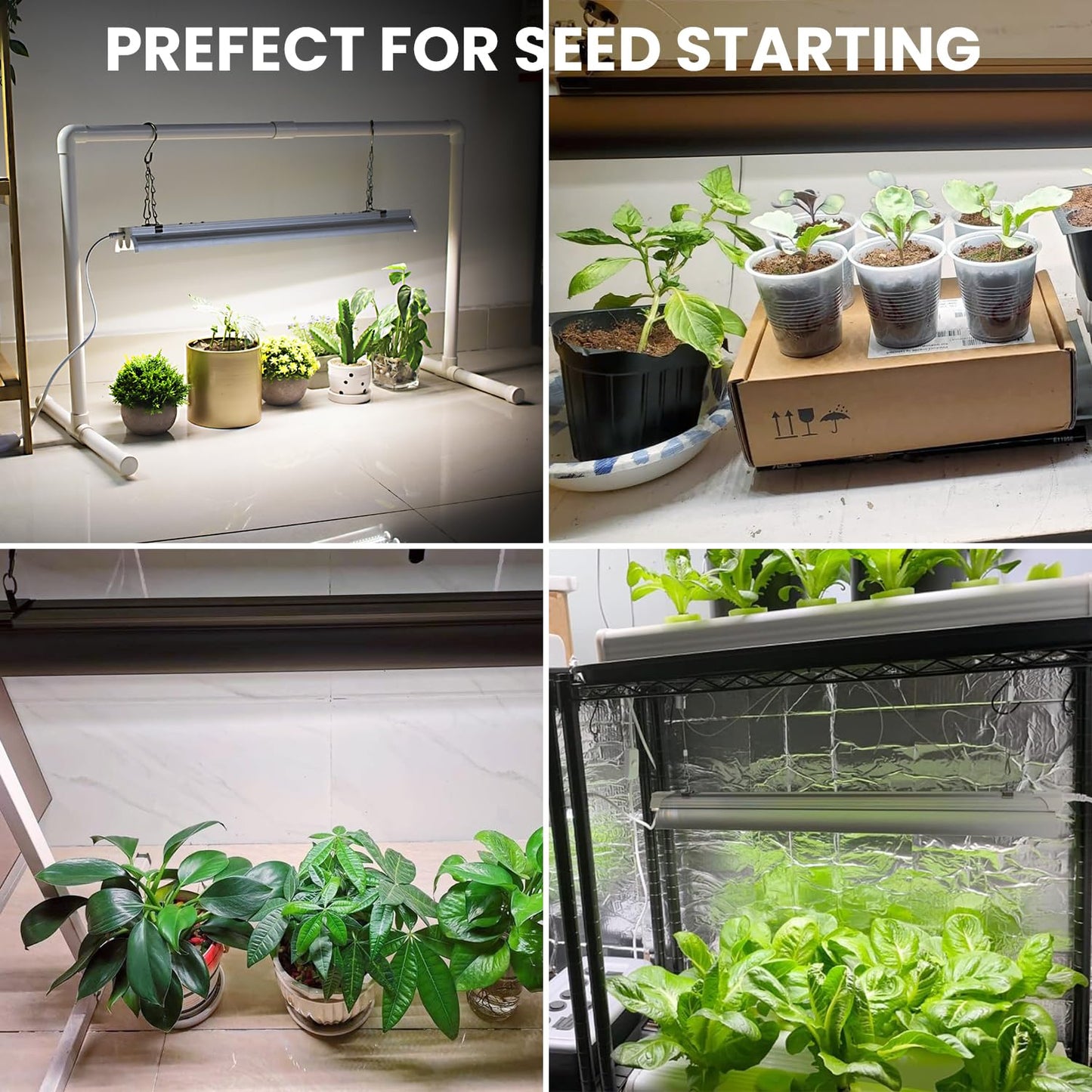 Wolezek Grow Lights for Seed Starting with 6/9/12H Timer, 2ft T5 144 LEDs Full Spectrum Grow Light Seedling with Stand for Indoor Plants, 32W High Output Seed Starter Light Kit, Height Adjustable