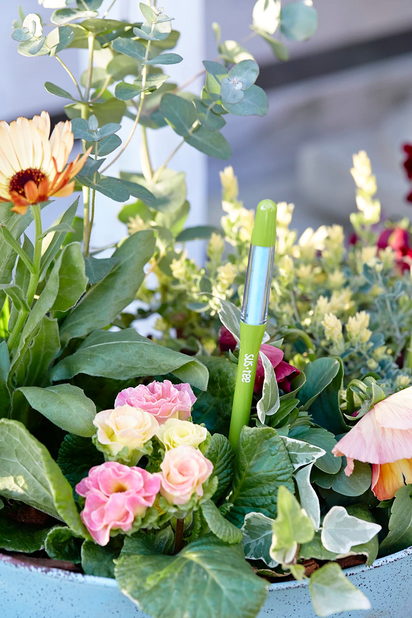 Sustee Aquameter, Set of 5, Plant Soil Moisture Sensor (Green, Medium)