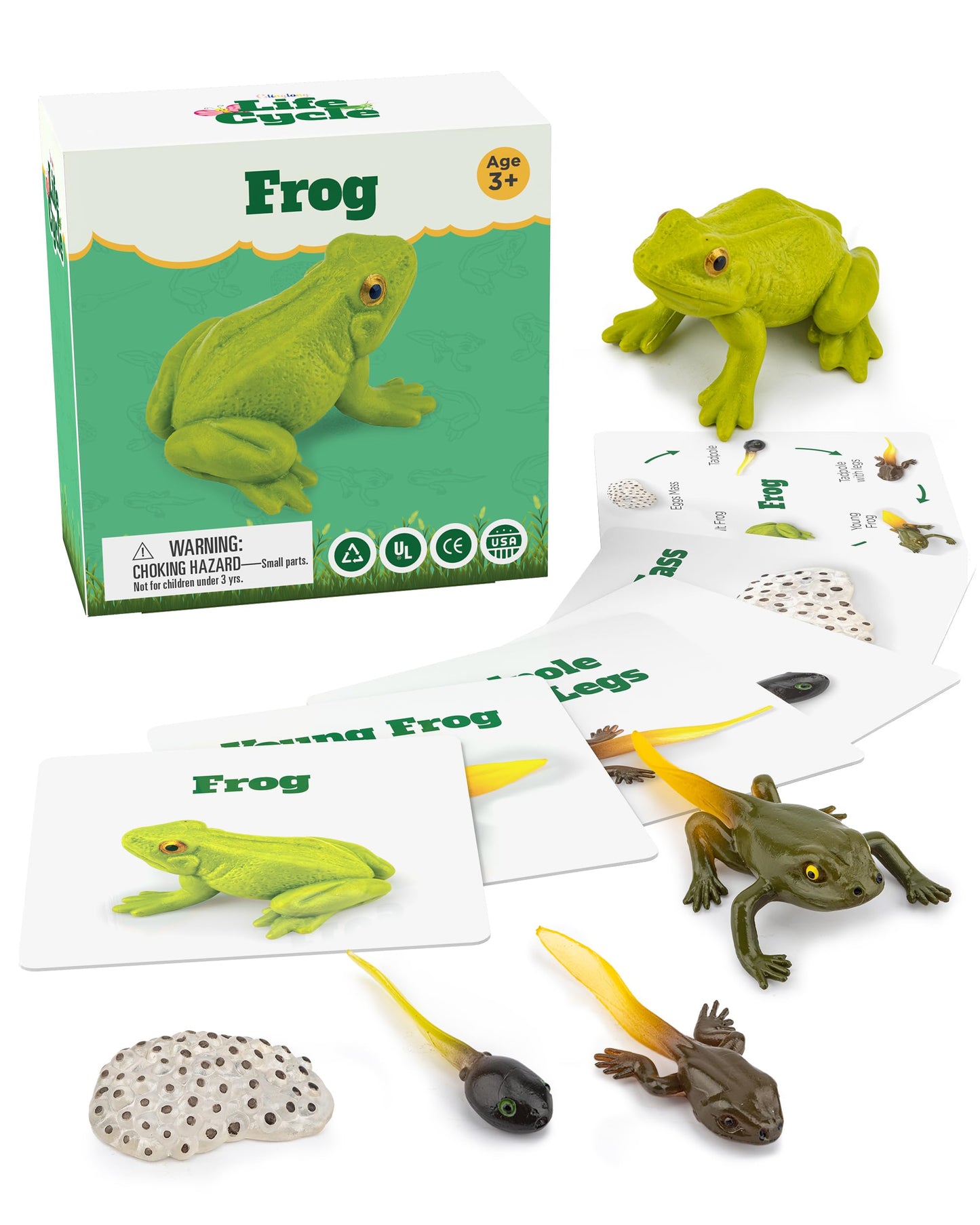 Life Cycle Kit Montessori - Realistic Figurine Toys, Animal Matching Game Frog Animals, Easter Basket Stuffers for Kids, Science Fun for Learning Education Toys