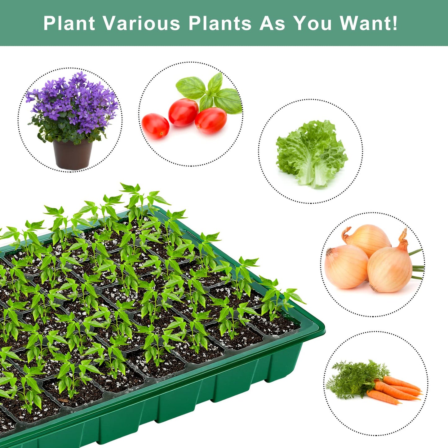 Elcoho 6 Pack Seed Starter Tray Kit 40 Cells Seedling Trays with Humidity Dome and Base Mini Propagator Plant Nursery Pots Total 240 Cells for Greenhouse Plants Growing, Green