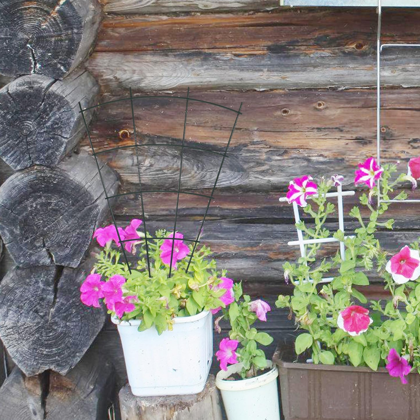 NUOBESTY Metal Plant Trellis Vine Climbing Support Rack for Garden and Indoor Potted Plants with Sturdy Outdoor Metal Frame