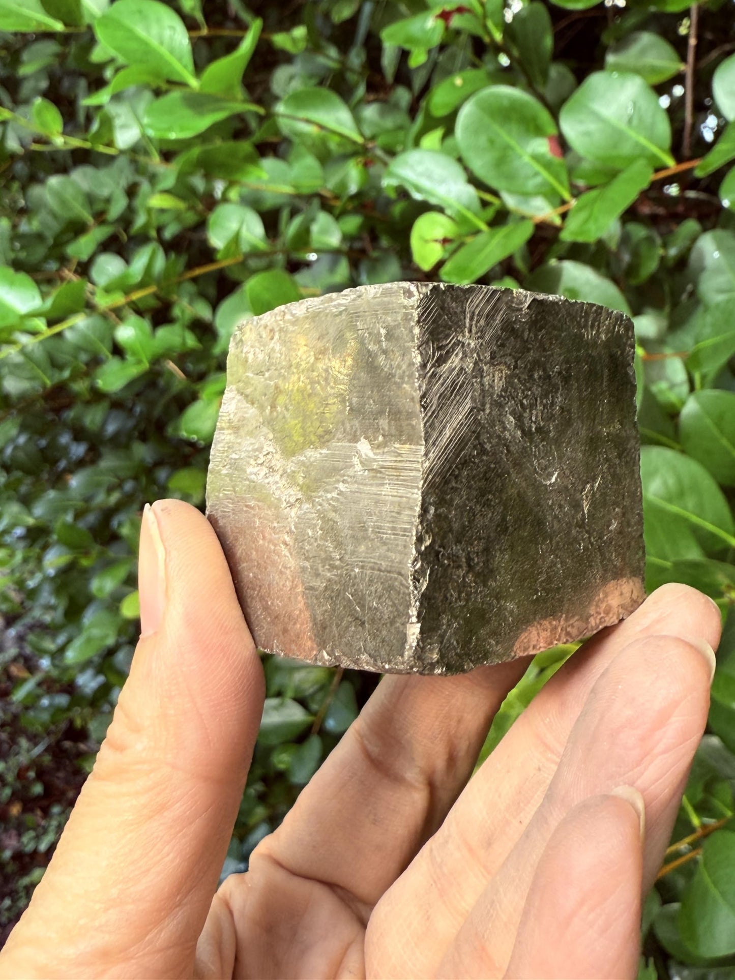 GAF TREASURES XL Raw Pyrite Cube, 3-4" Natural Rough Pyrite Cube, Pyrite Cube Rough, Pyrite Cube Healing Rough Crystal (Pyrite Cube, 0.5-1 lb)