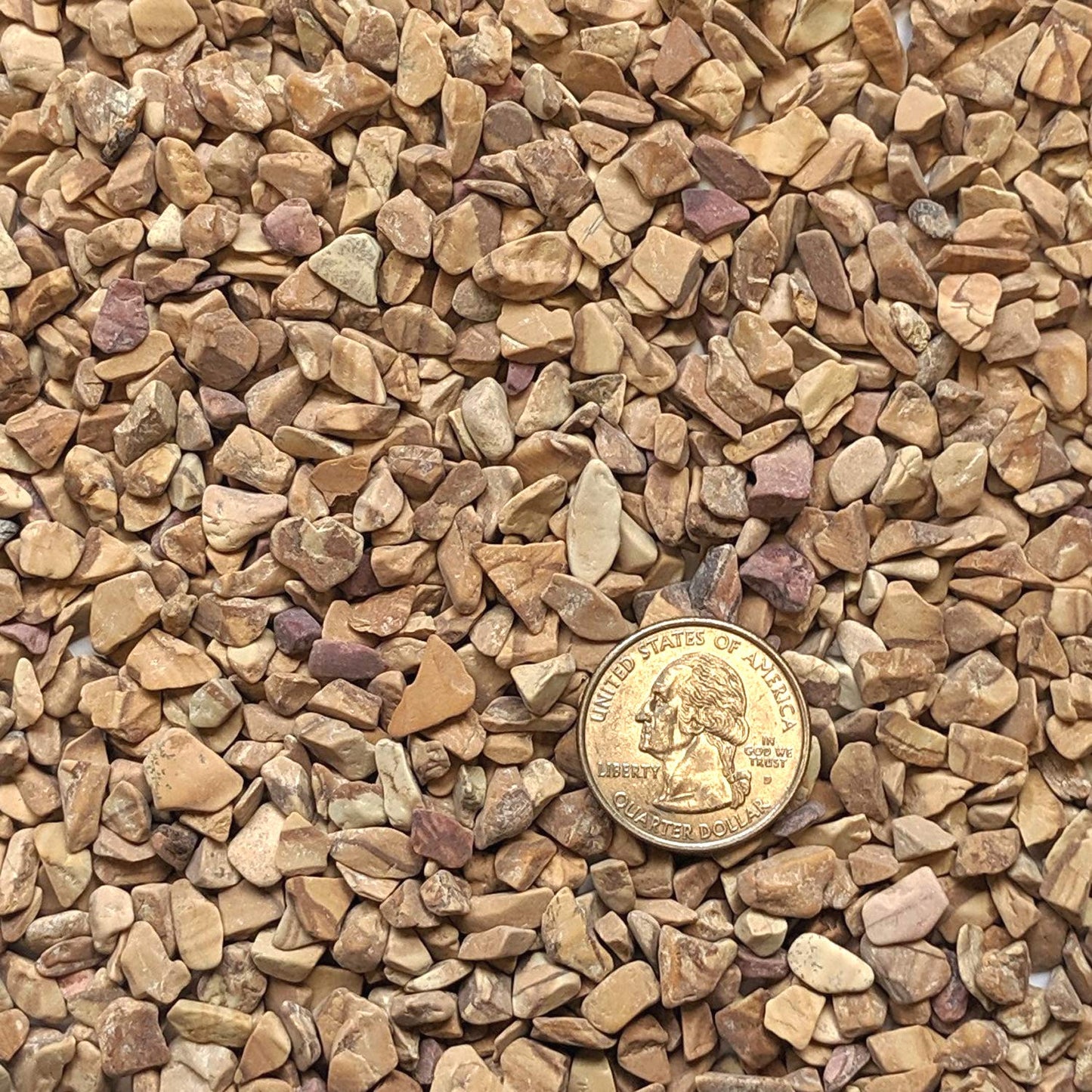 Midwest Hearth Decorative Wood Bean Pebbles 1/5" Size (5-lb Bag)