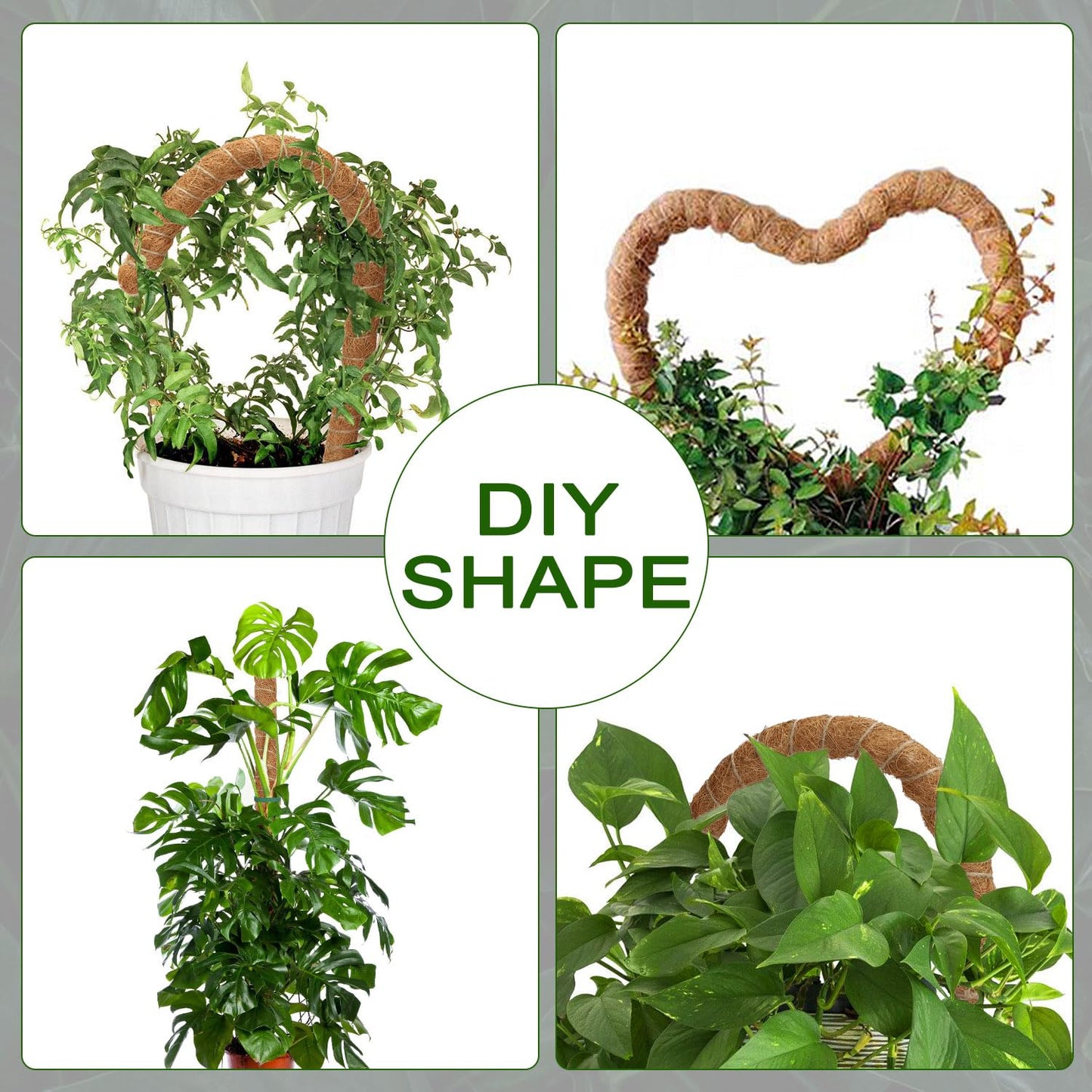 Deergo 4Pack 30 Inch Bendable Moss Pole for Plants Monstera, Coco Coir Plant Support Pole for Small Climbing Plants Grow Up