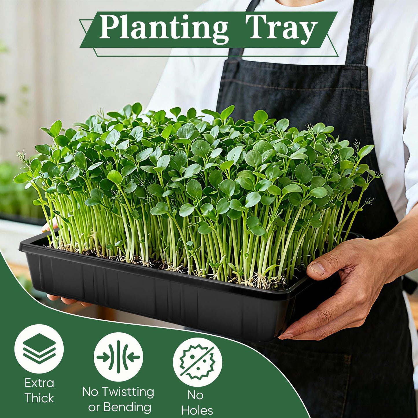 Sckee Upgraded 10 Pack Plant Growing Trays Seed Starting Tray Microgreens Growing Trays Seedling Plant Germination Starter Tray Transplant Fodder Flats, No Holes, No Leakage, Reusable (1015)