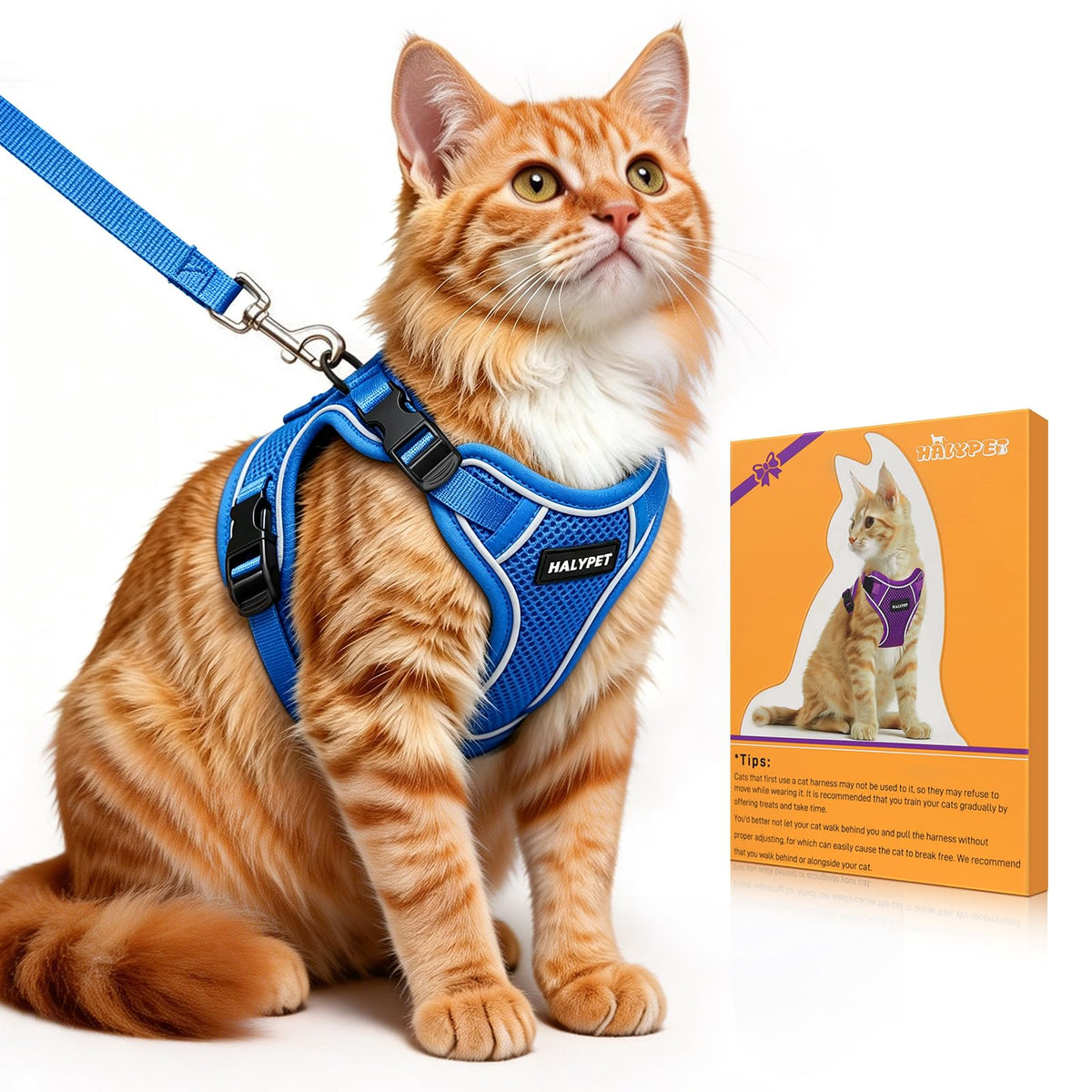 Cat Harness and Leash Set,Escape Proof Kitten Harness,Orange