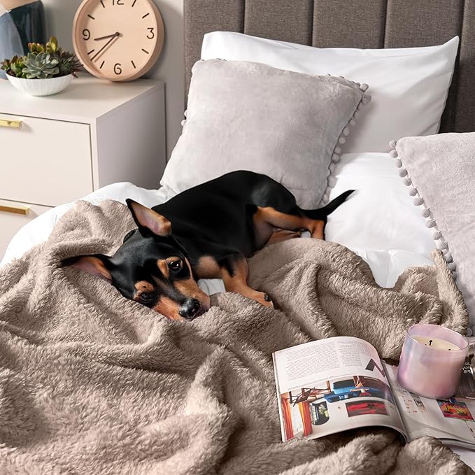 PAVILIA Sherpa Throw Blanket for Couch Sofa, Taupe Tan Fluffy Warm Plush Blanket for Bed, Cozy Super Soft Lightweight Throw, Fuzzy Decorative Blanket, All Season Home, 50x60