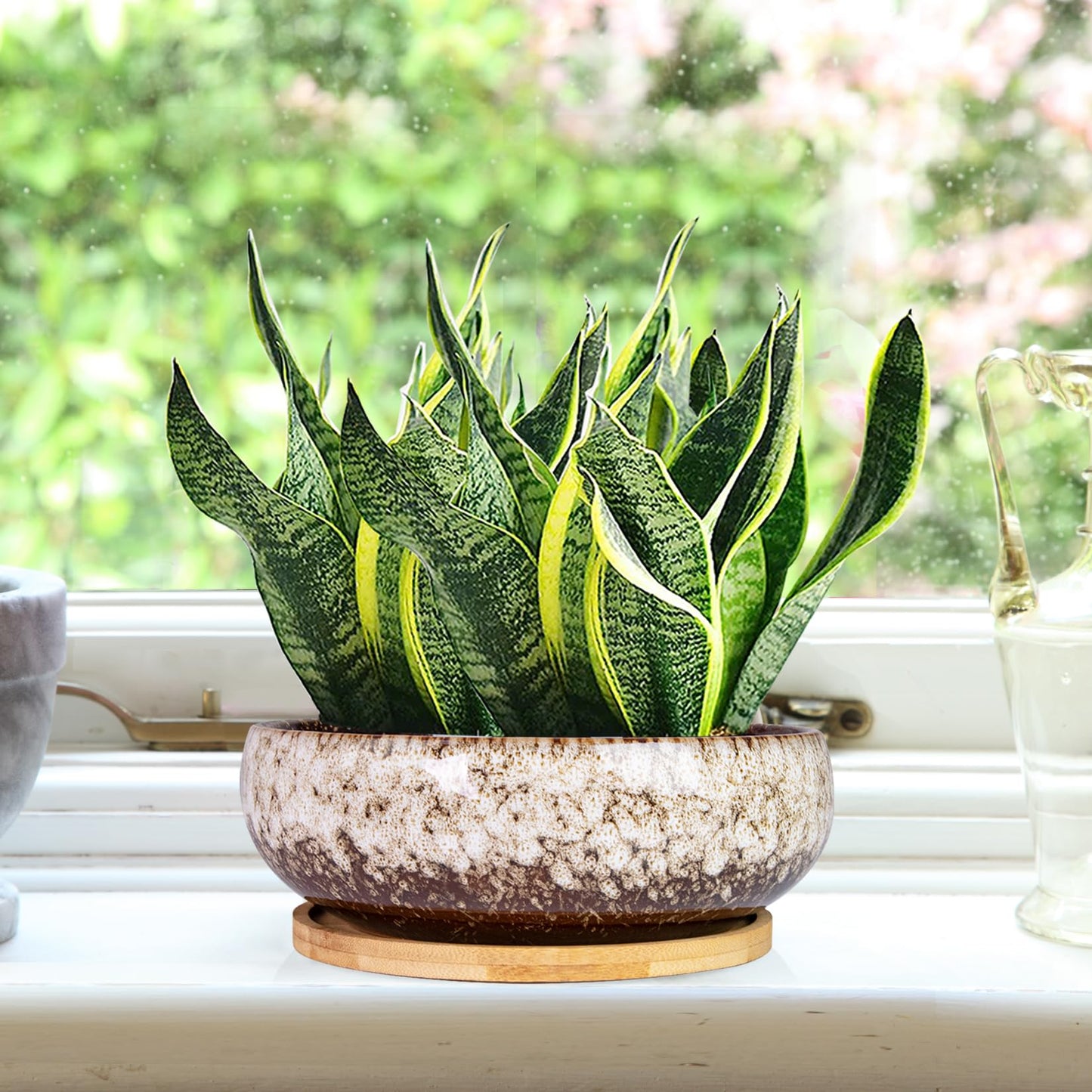 ARTKETTY Succulent Pots - 7.5 Inch Large Plant Pot with Bamboo Tray, Shallow Bonsai Pots with Drainage, Ceramic Planter for Indoor Plants, Cactus, Home Office Desk Decor